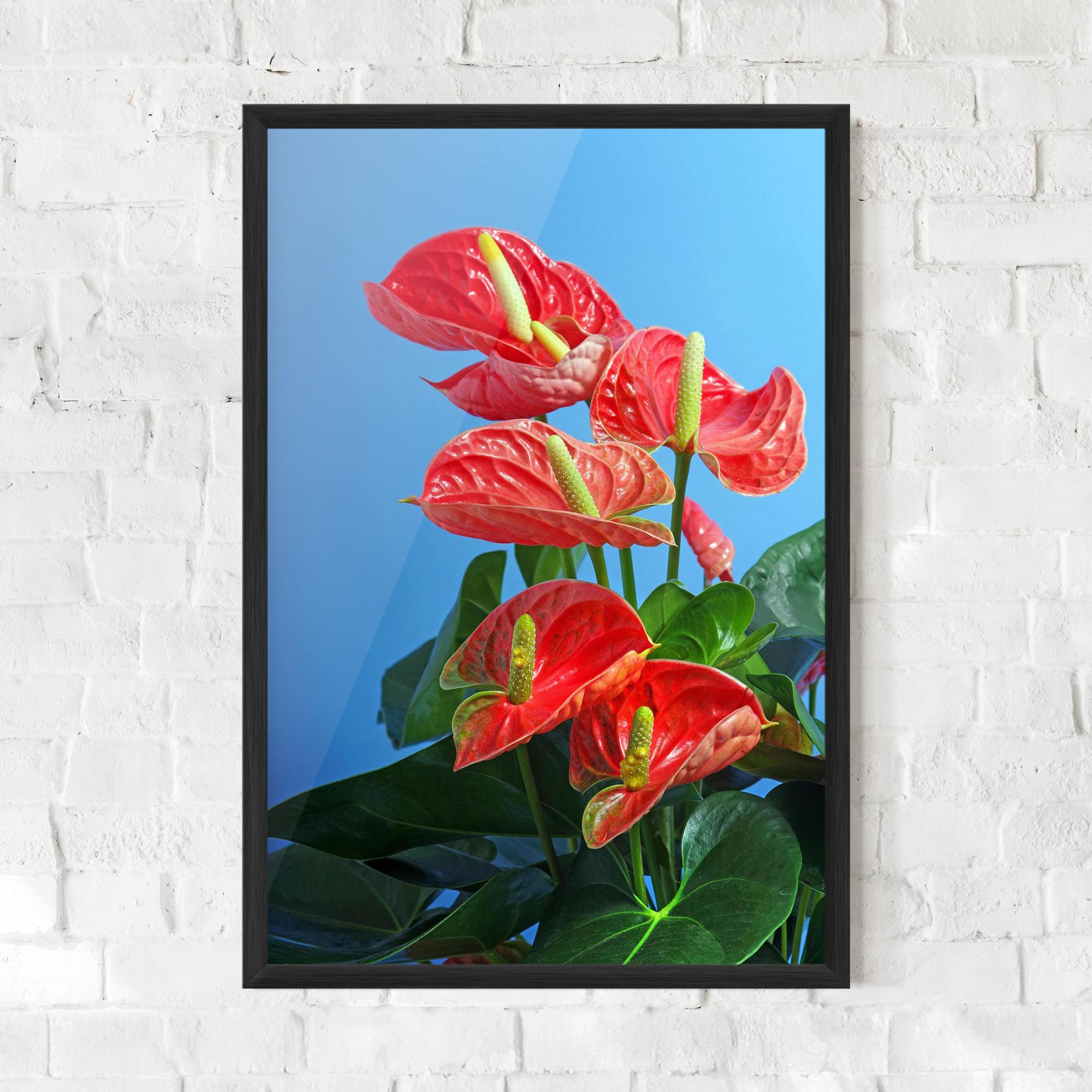 Poster Înrămat Red Green Exotic mockup 0