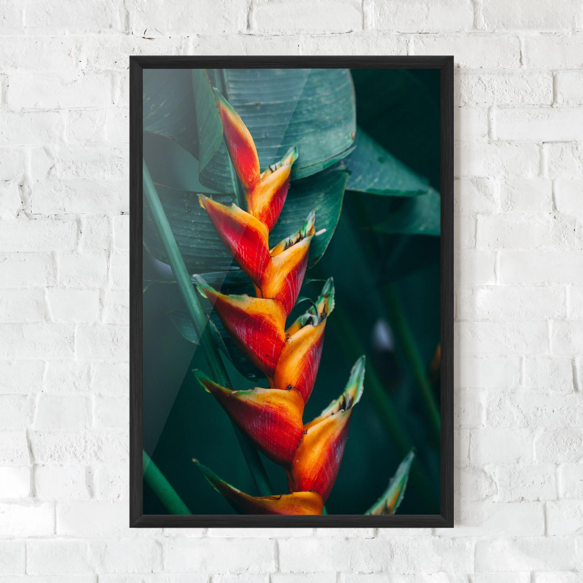 Poster Înrămat Red Orange Exotic mockup 0