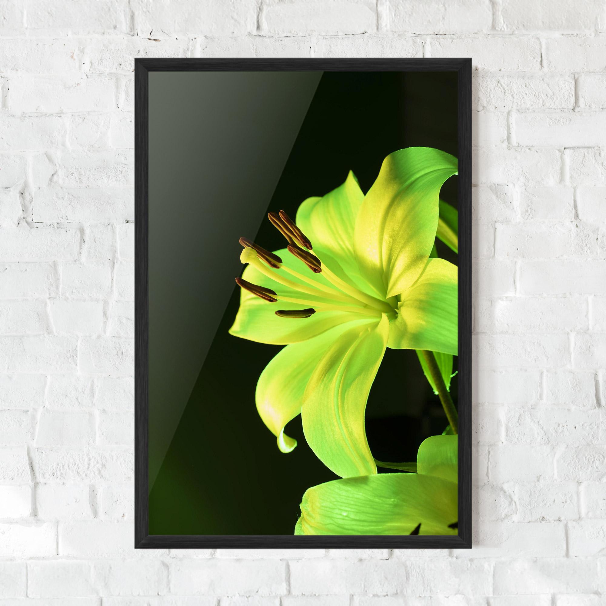 Poster Înrămat Yellow Green Exotic mockup 0
