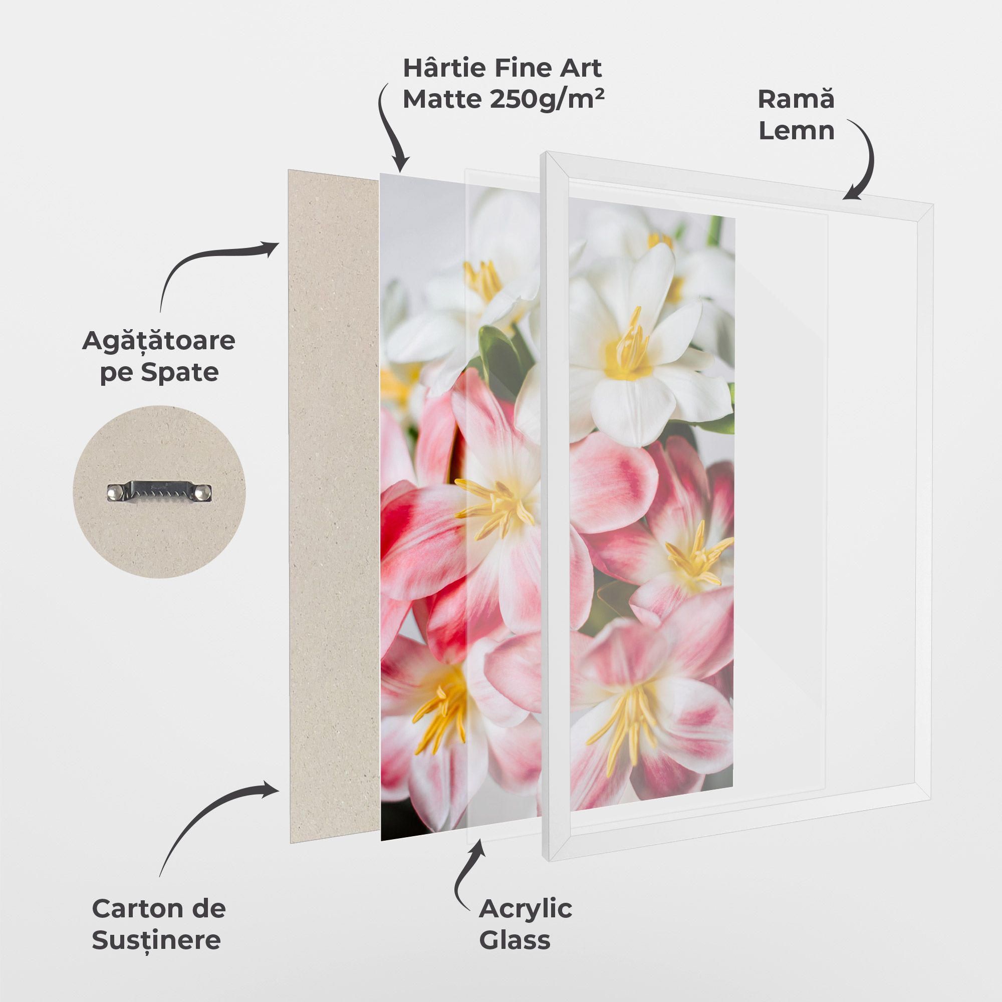 Beautiful Exotic Flower mockup 1