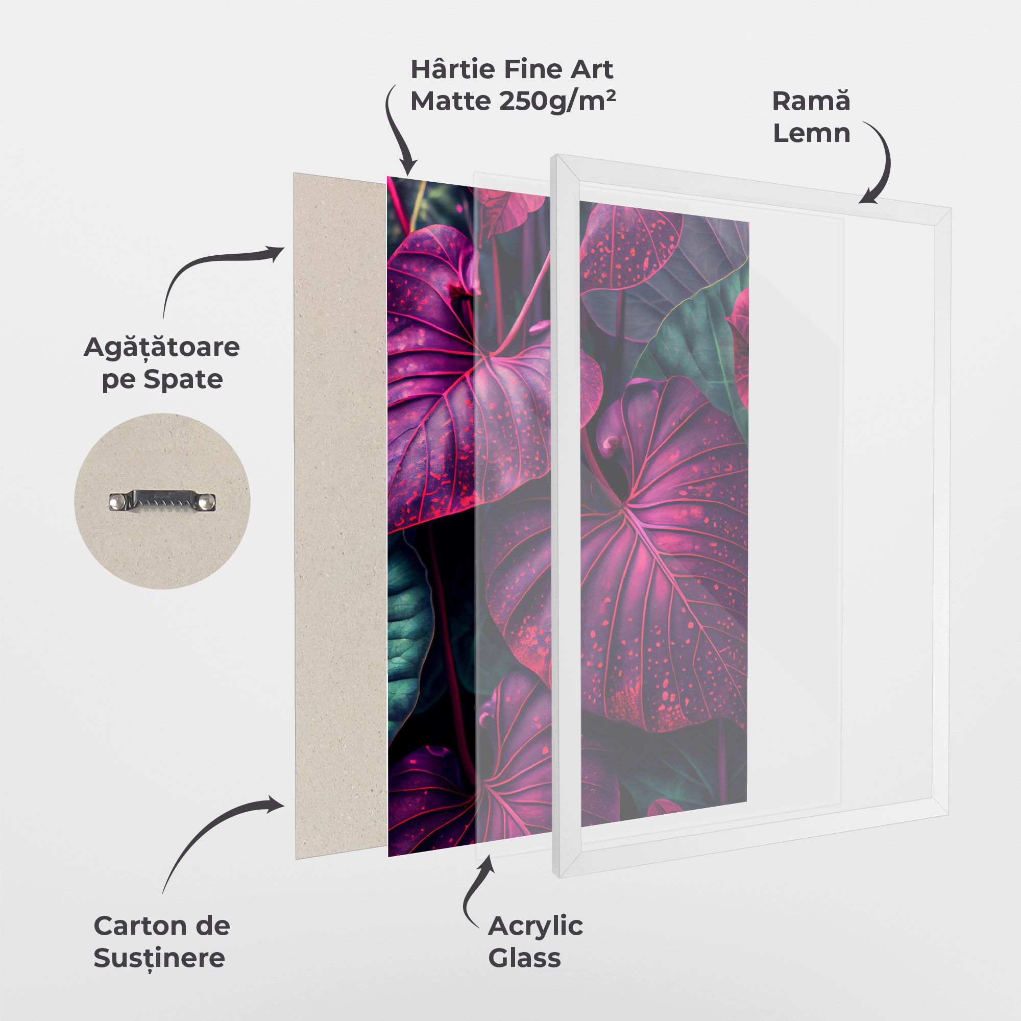 Big Purple Exotic mockup 1