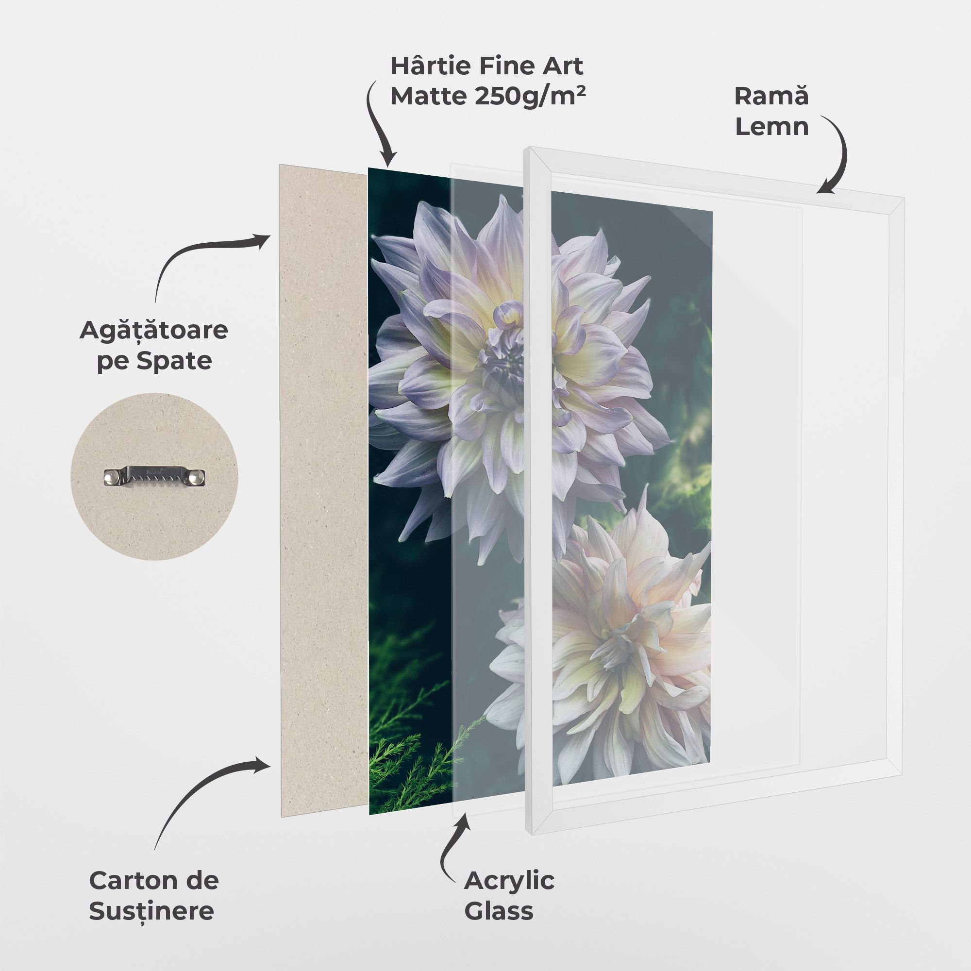 Dahlia Flowers mockup 1