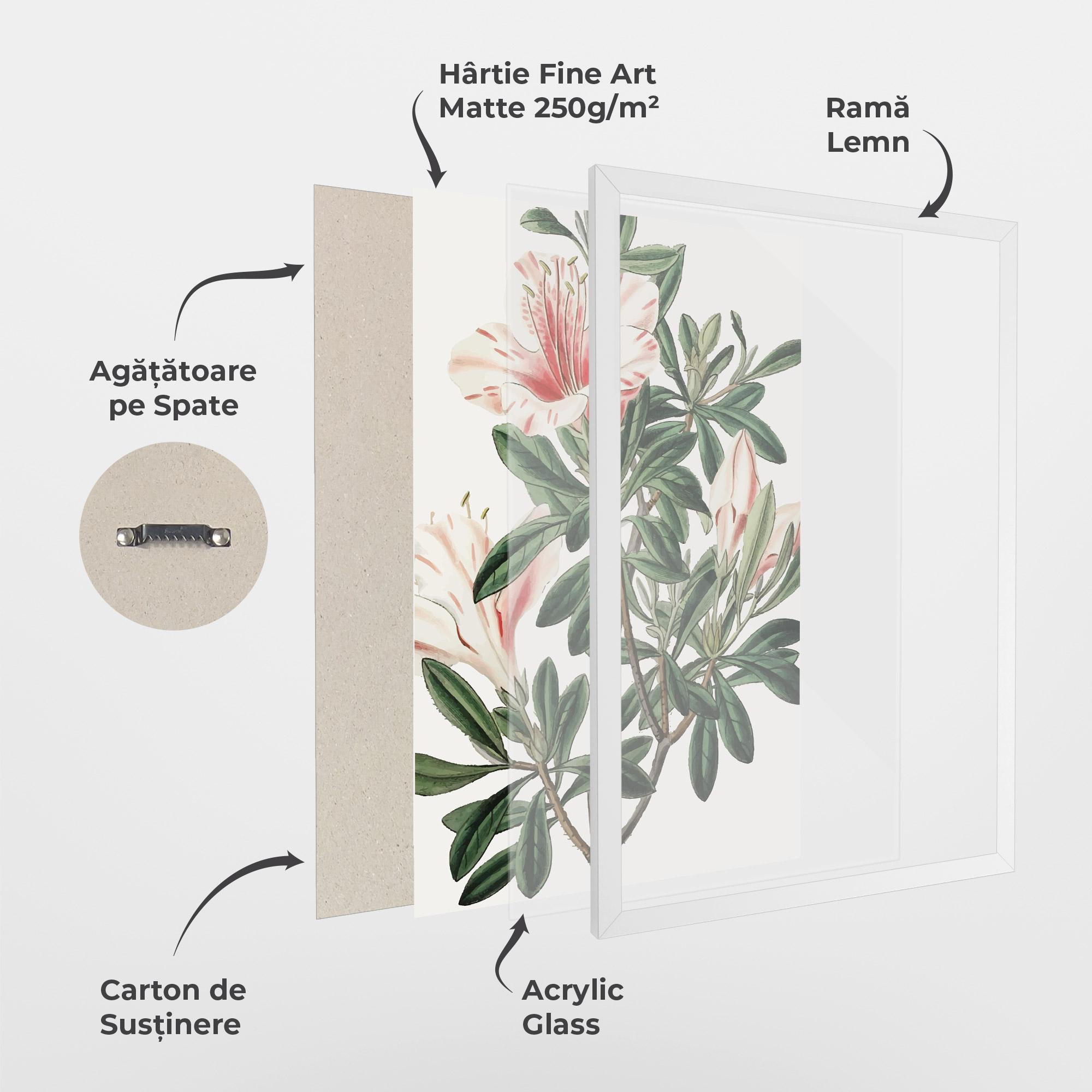 Poster Înrămat Exotic White Red mockup 1