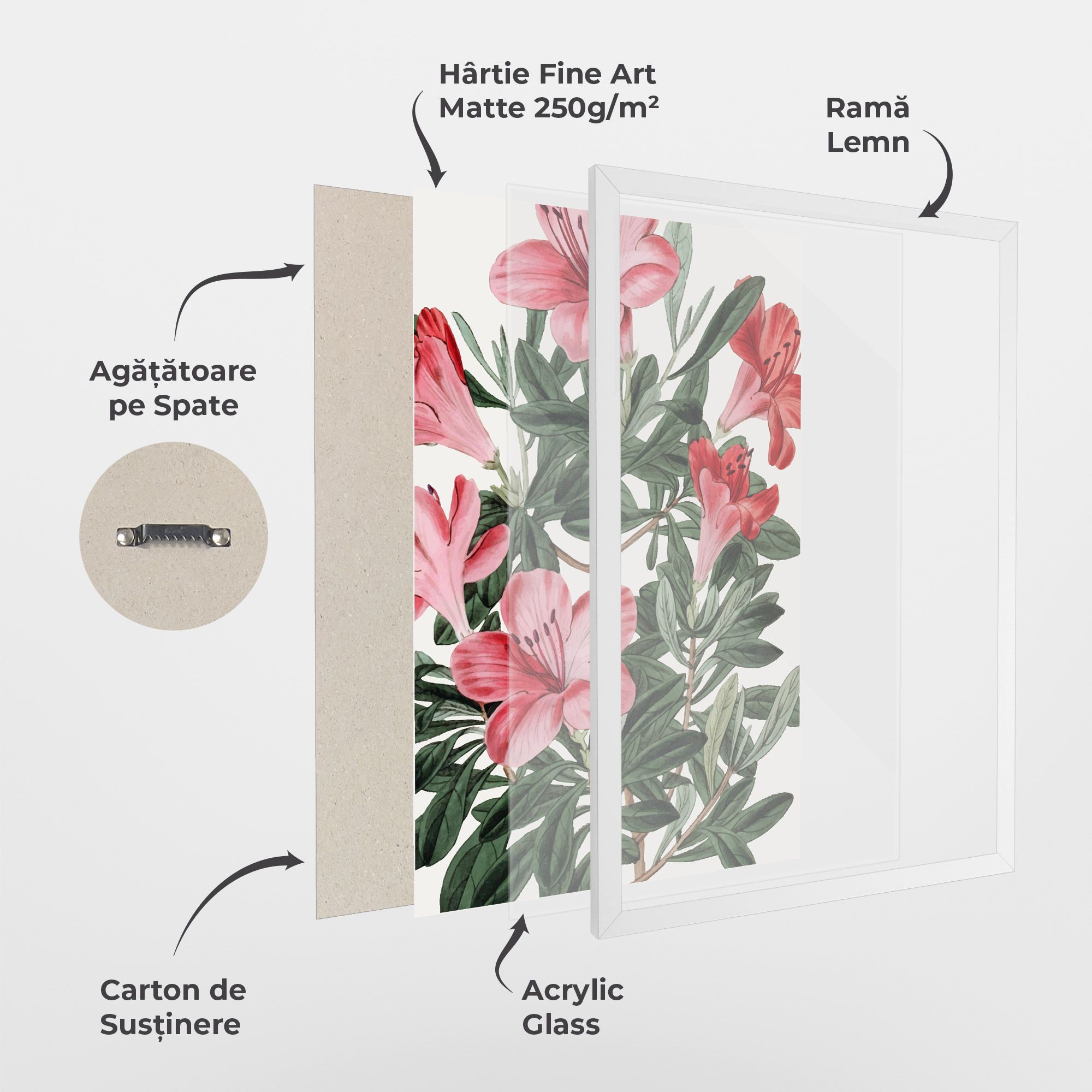 Pink Exotic Red mockup 1