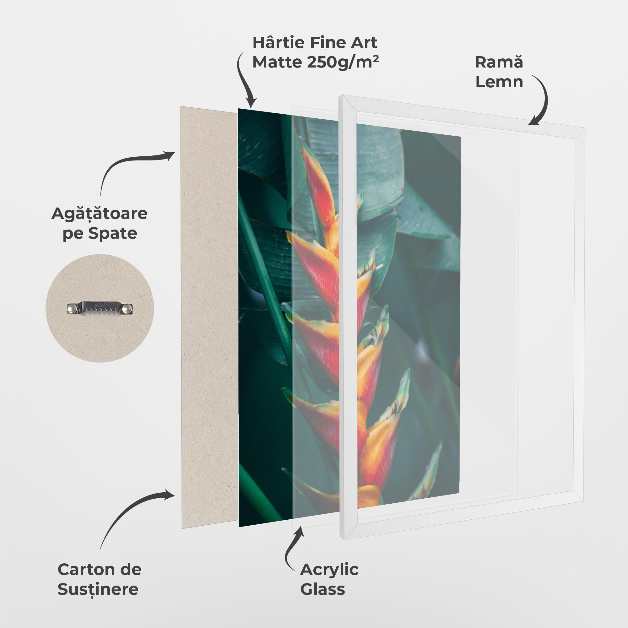 Poster Înrămat Red Orange Exotic mockup 1