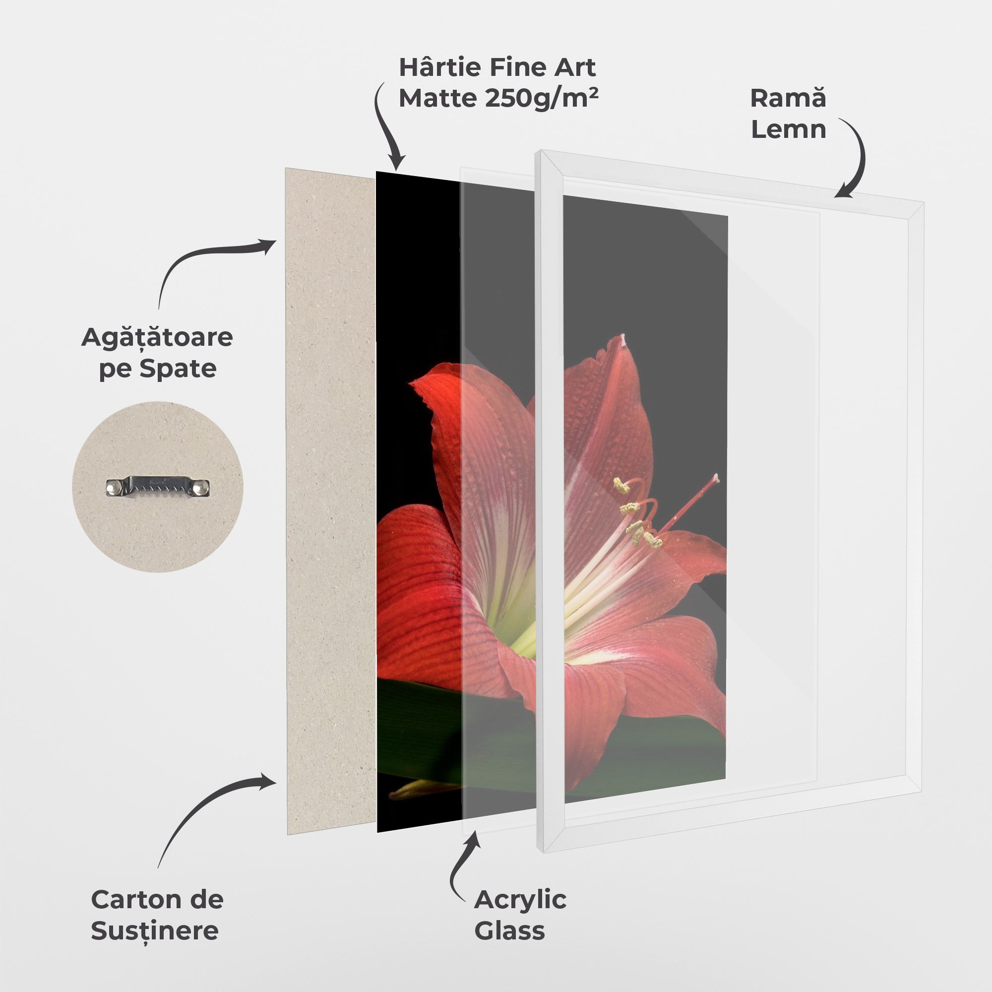 Red Yellow Exotic mockup 1