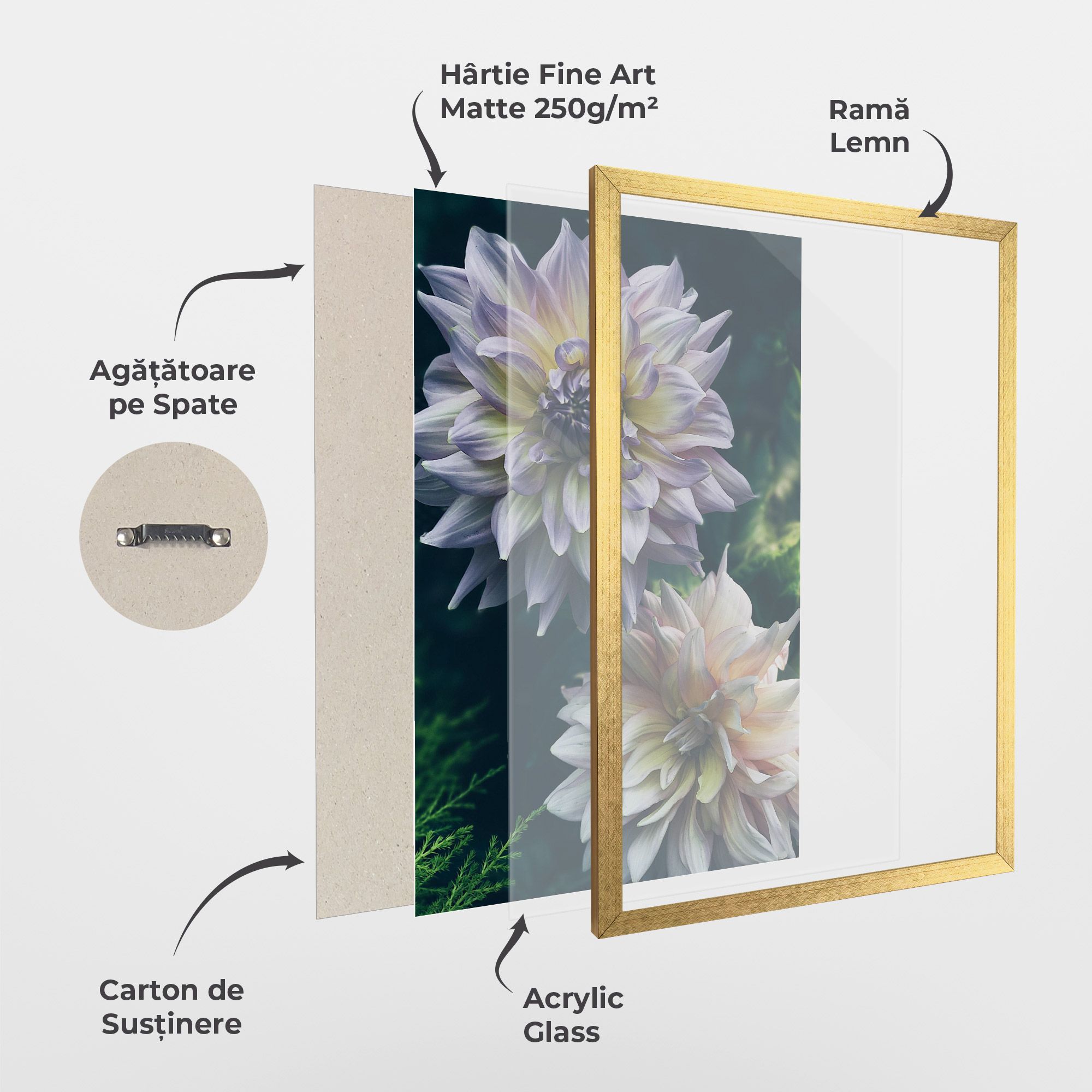 Dahlia Flowers mockup 1