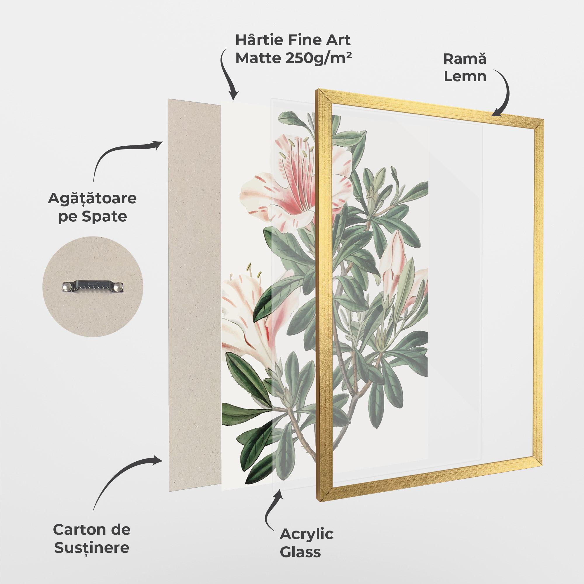 Poster Înrămat Exotic White Red mockup 1