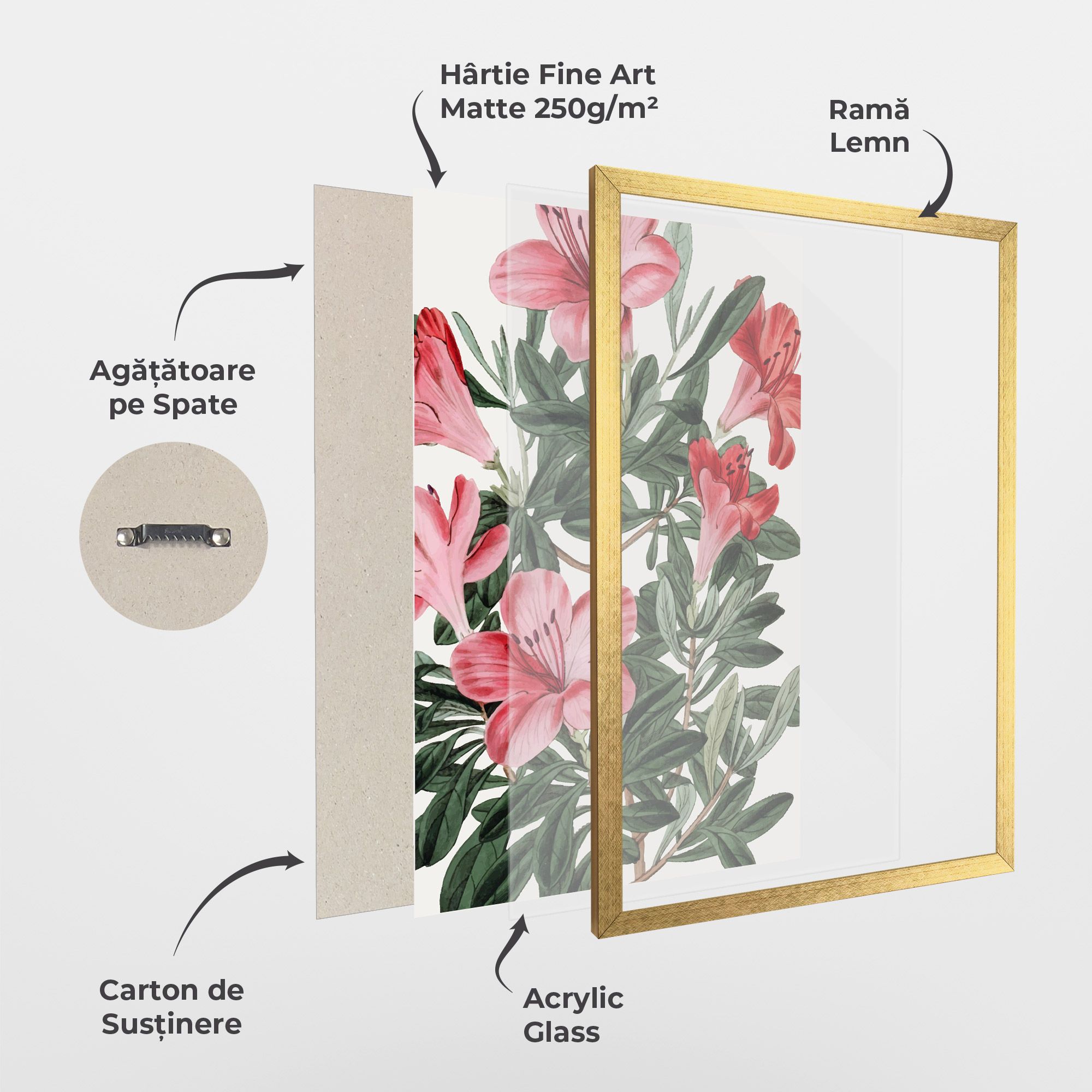 Pink Exotic Red mockup 1