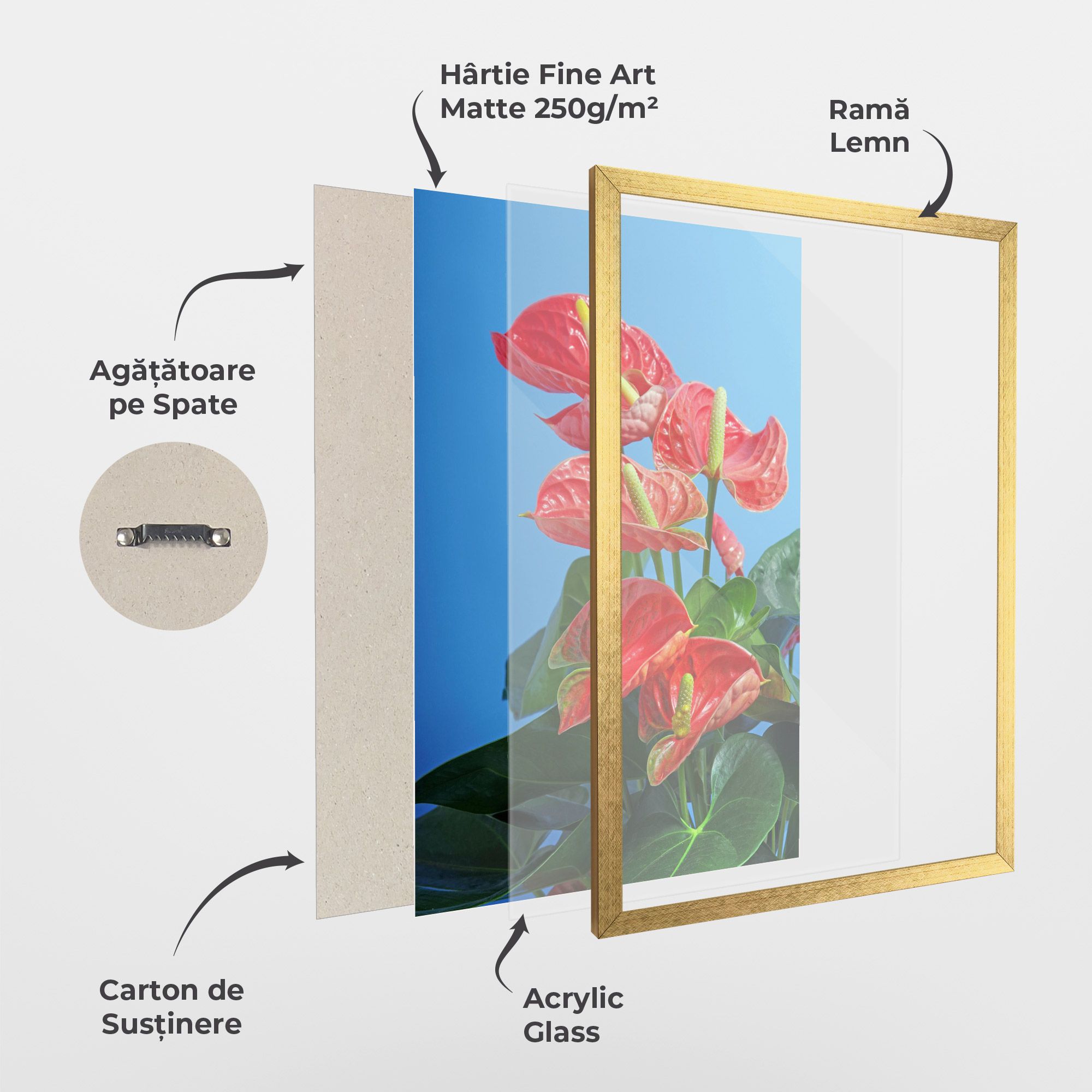 Red Green Exotic mockup 1