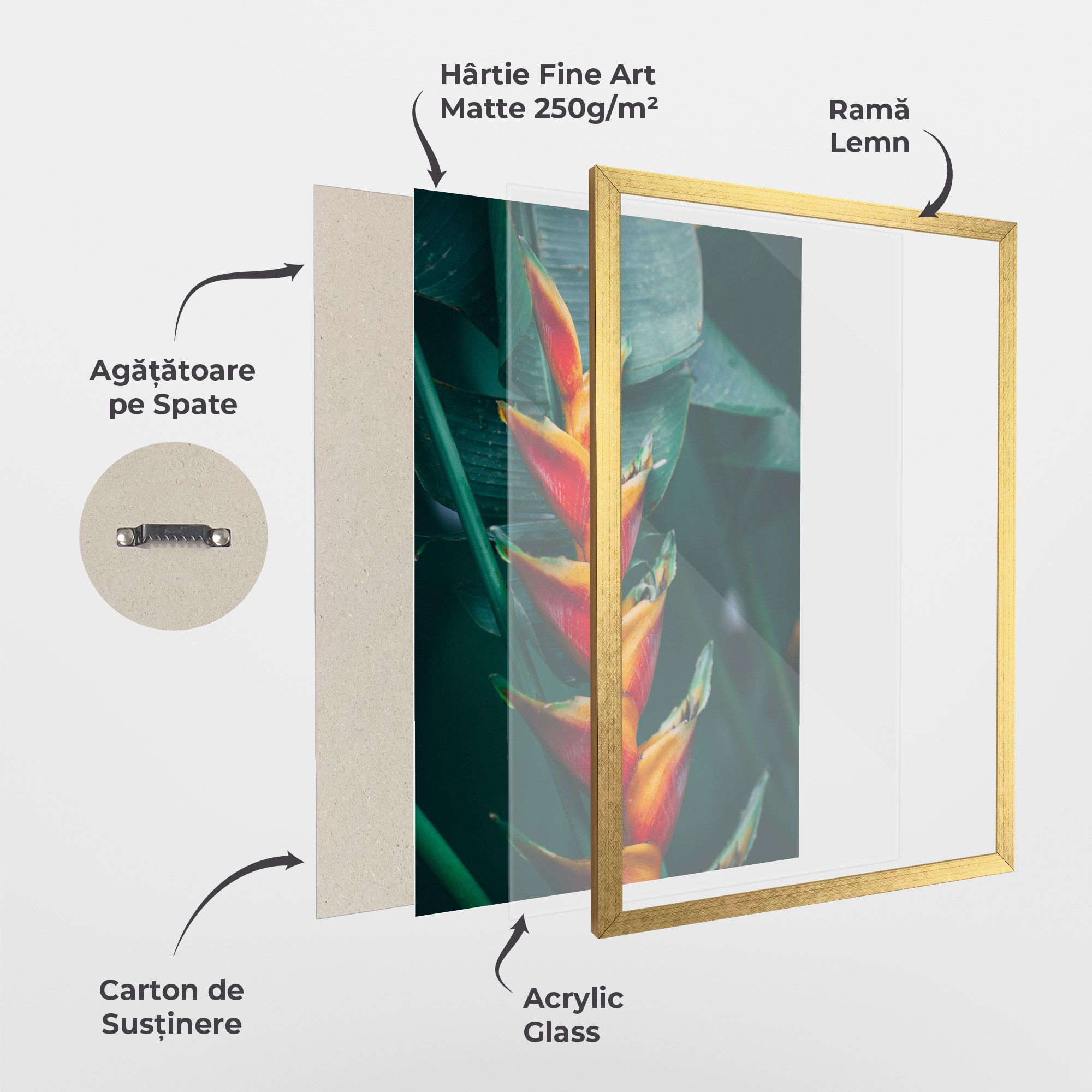 Red Orange Exotic mockup 1