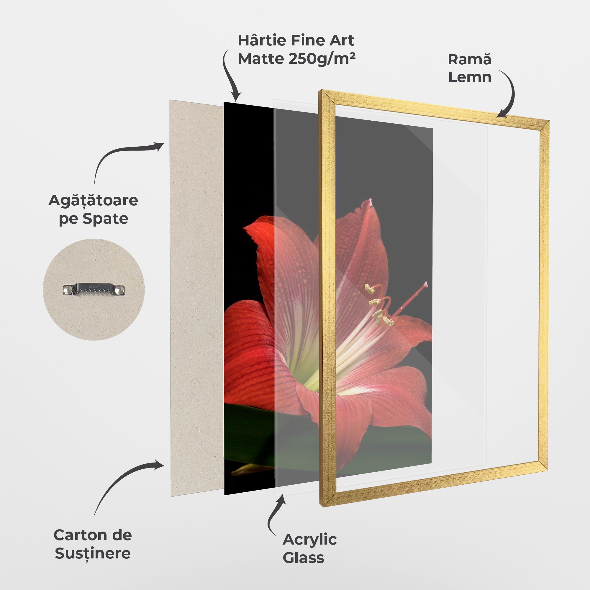 Red Yellow Exotic mockup 1