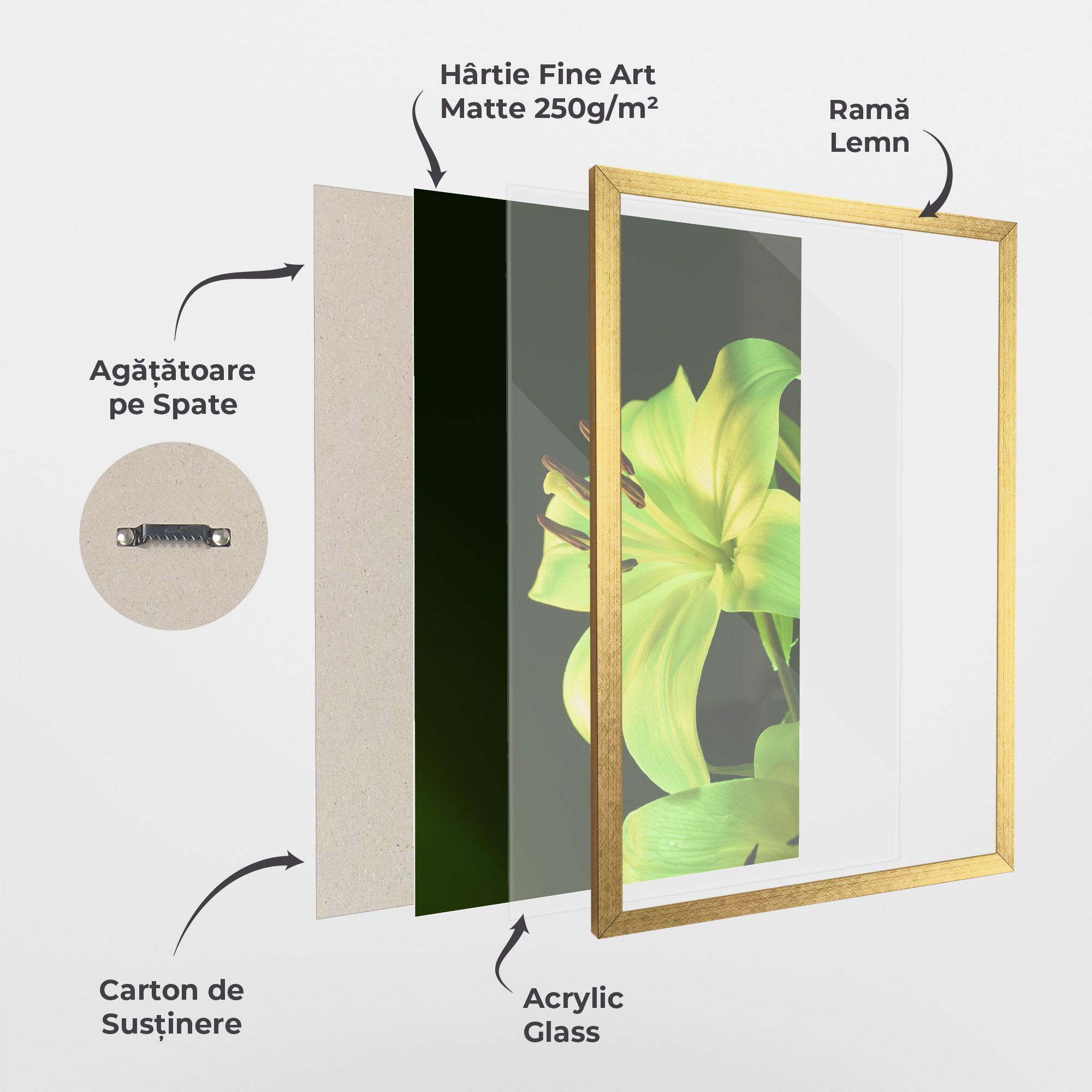 Yellow Green Exotic mockup 1