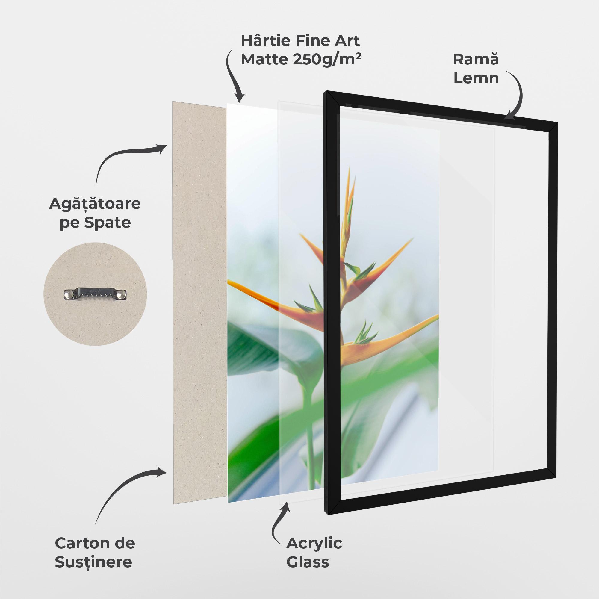 Poster Înrămat Exotic Orange Green mockup 1