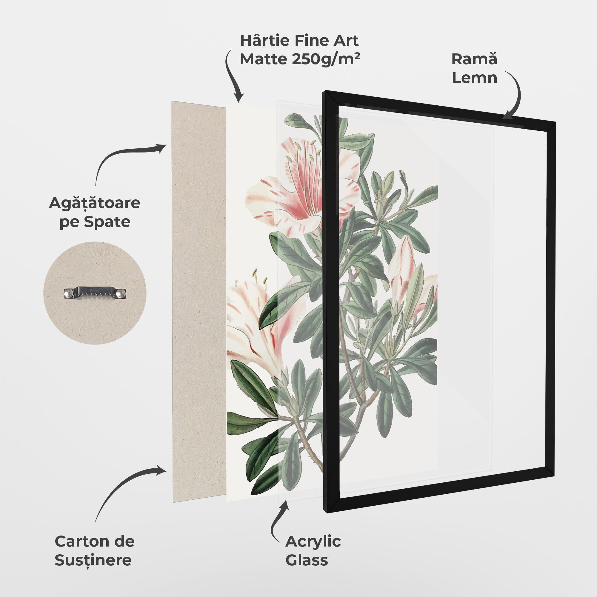 Poster Înrămat Exotic White Red mockup 1