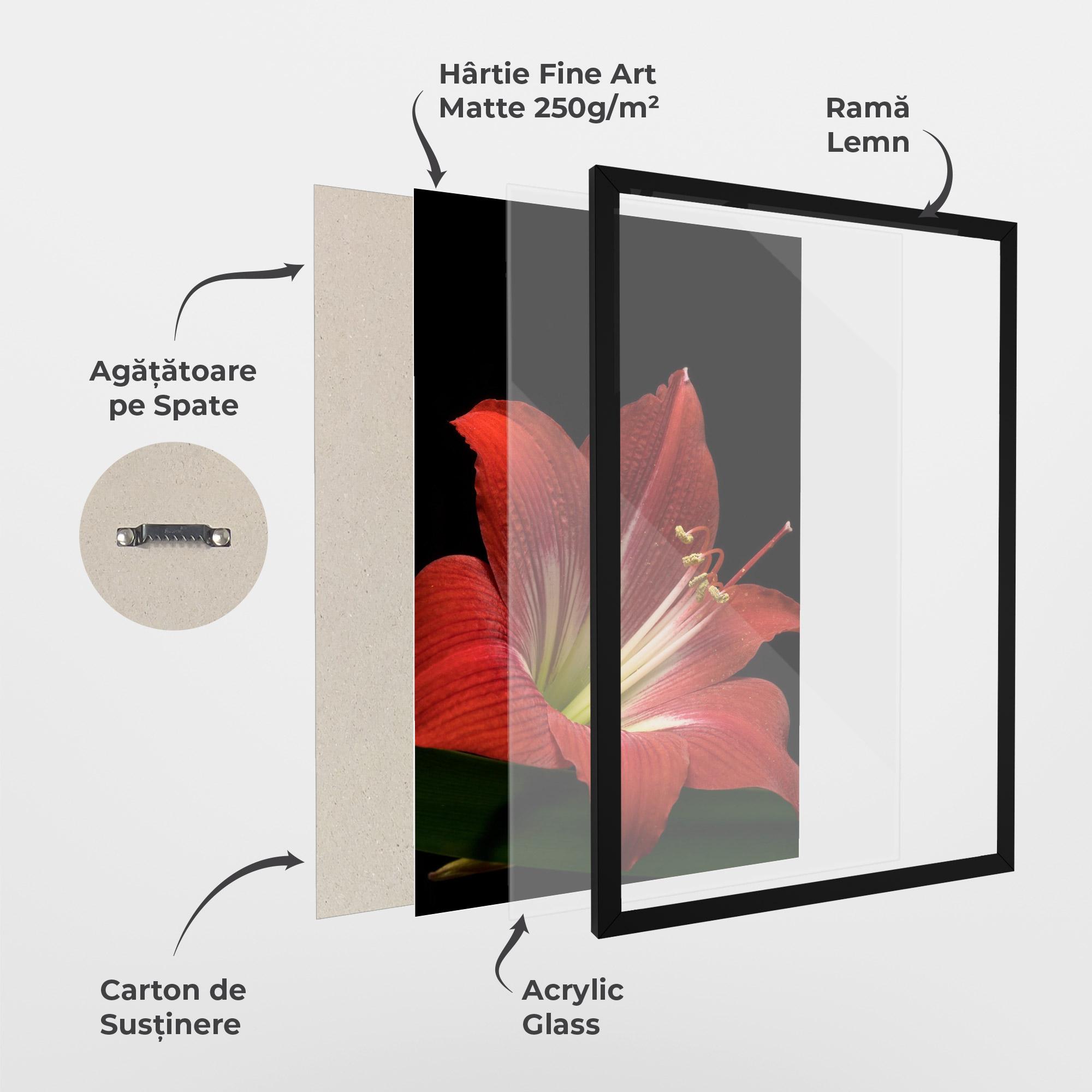 Poster Înrămat Red Yellow Exotic mockup 1