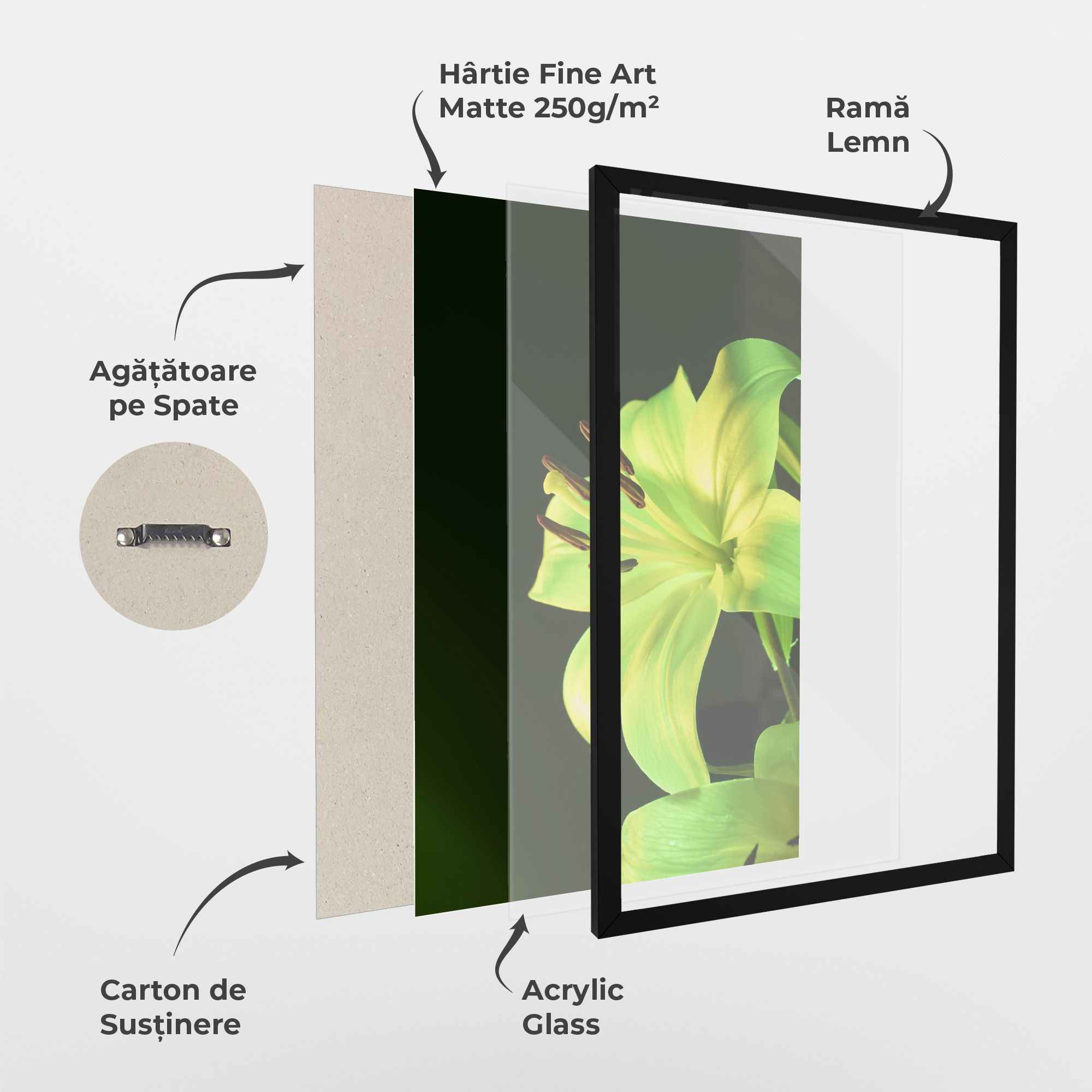 Yellow Green Exotic mockup 1