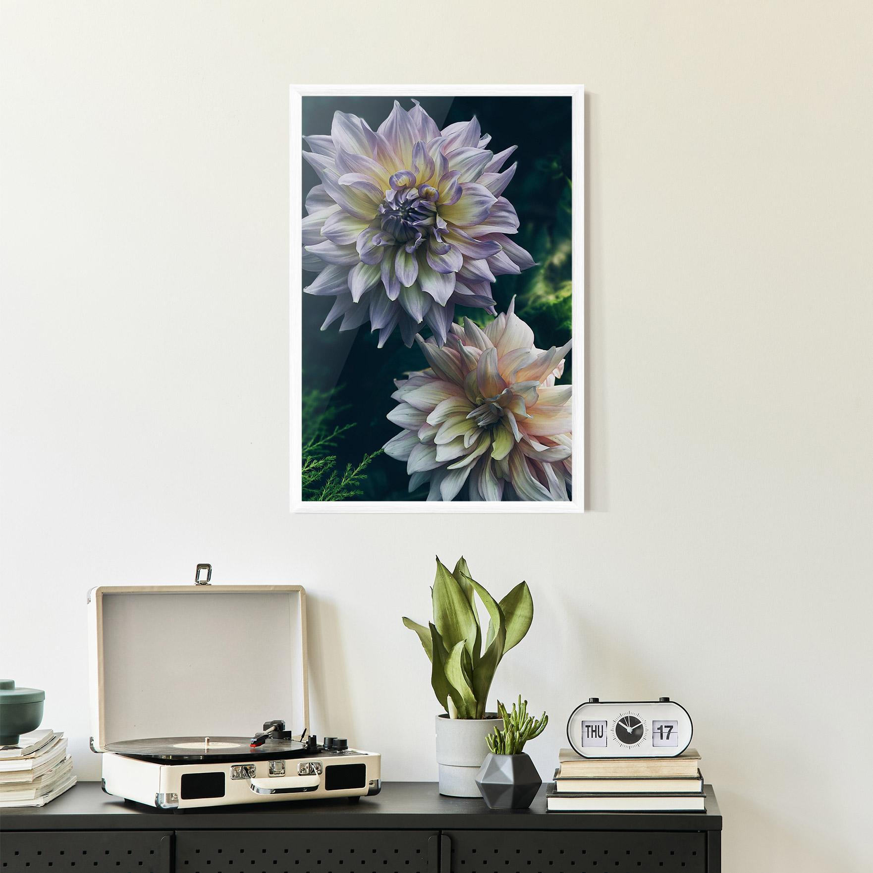 Poster Înrămat Dahlia Flowers mockup 2