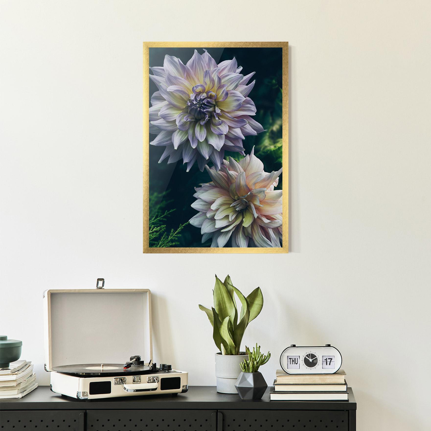 Poster Înrămat Dahlia Flowers mockup 2