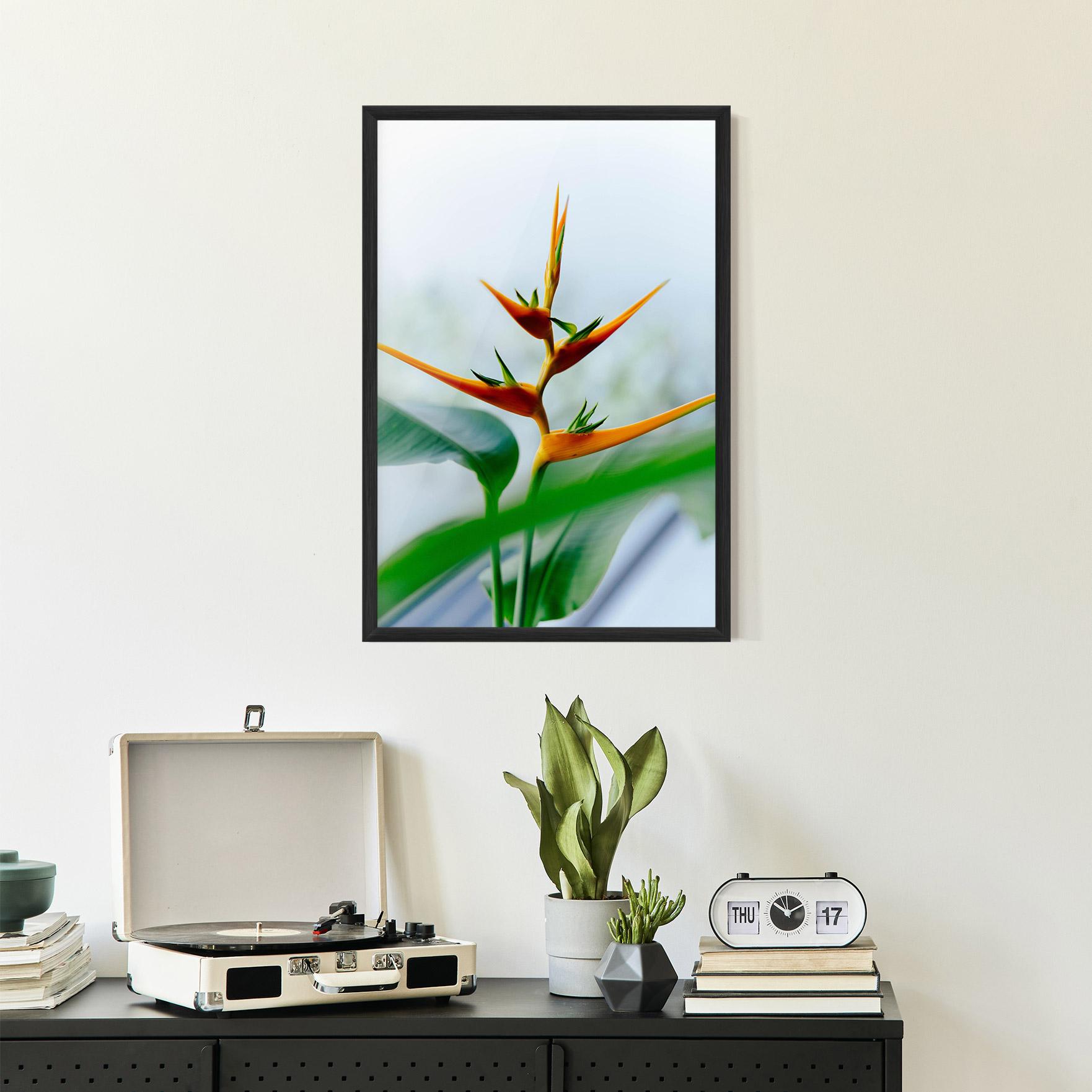 Poster Înrămat Exotic Orange Green mockup 2