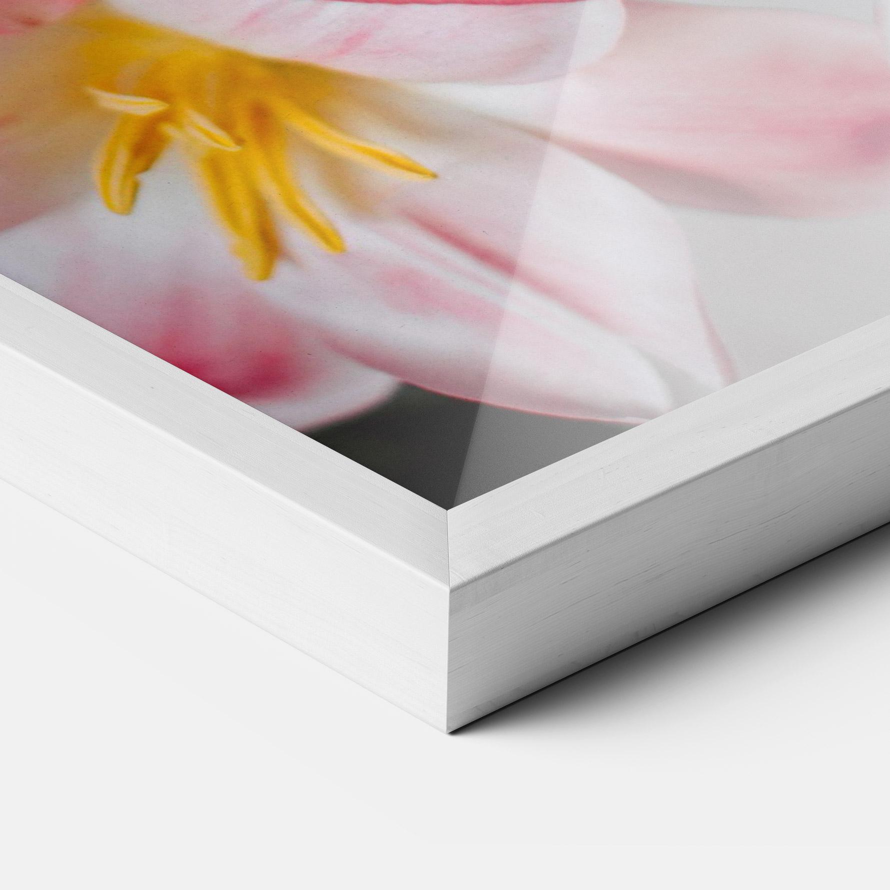 Poster Înrămat Beautiful Exotic Flower mockup 3