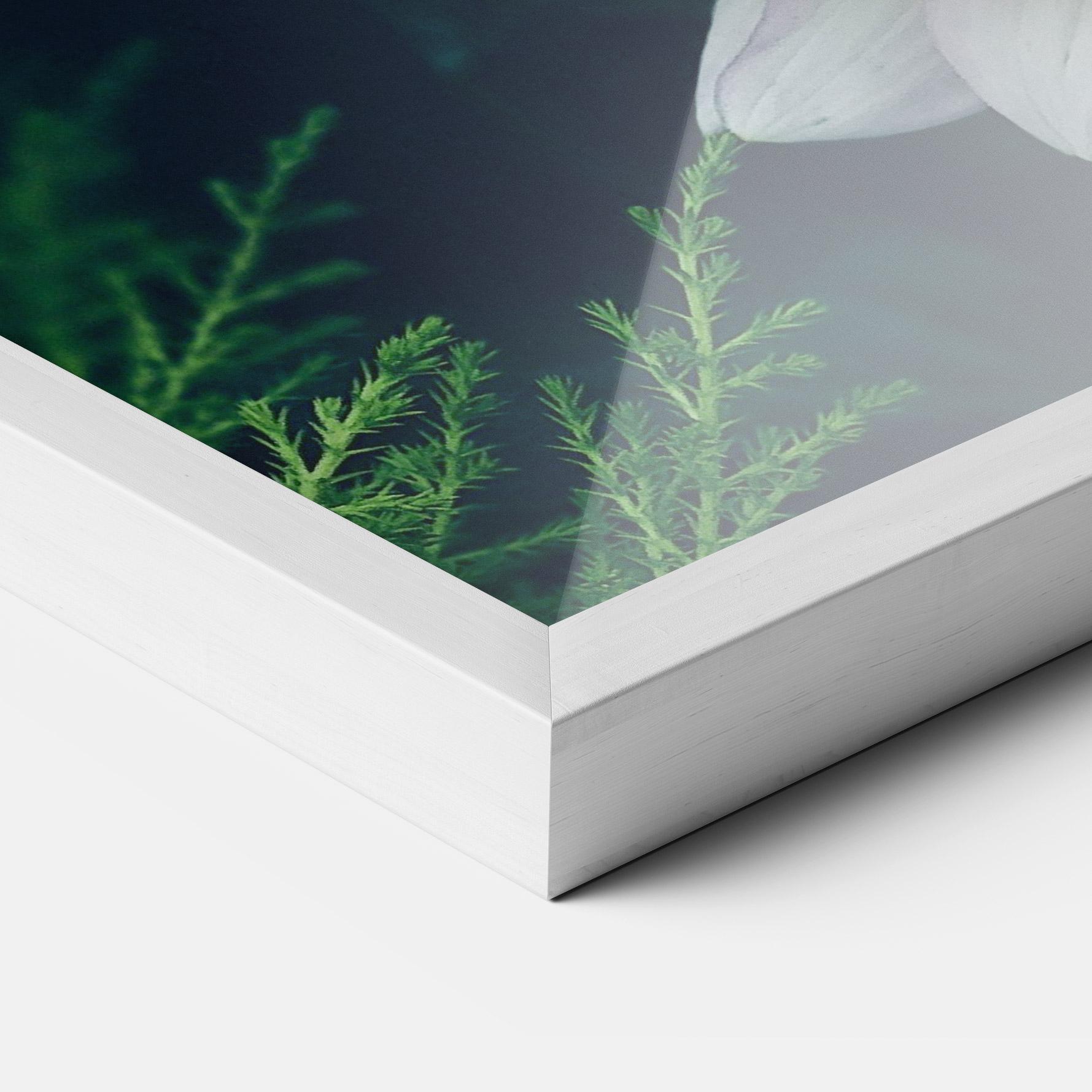 Poster Înrămat Dahlia Flowers mockup 3