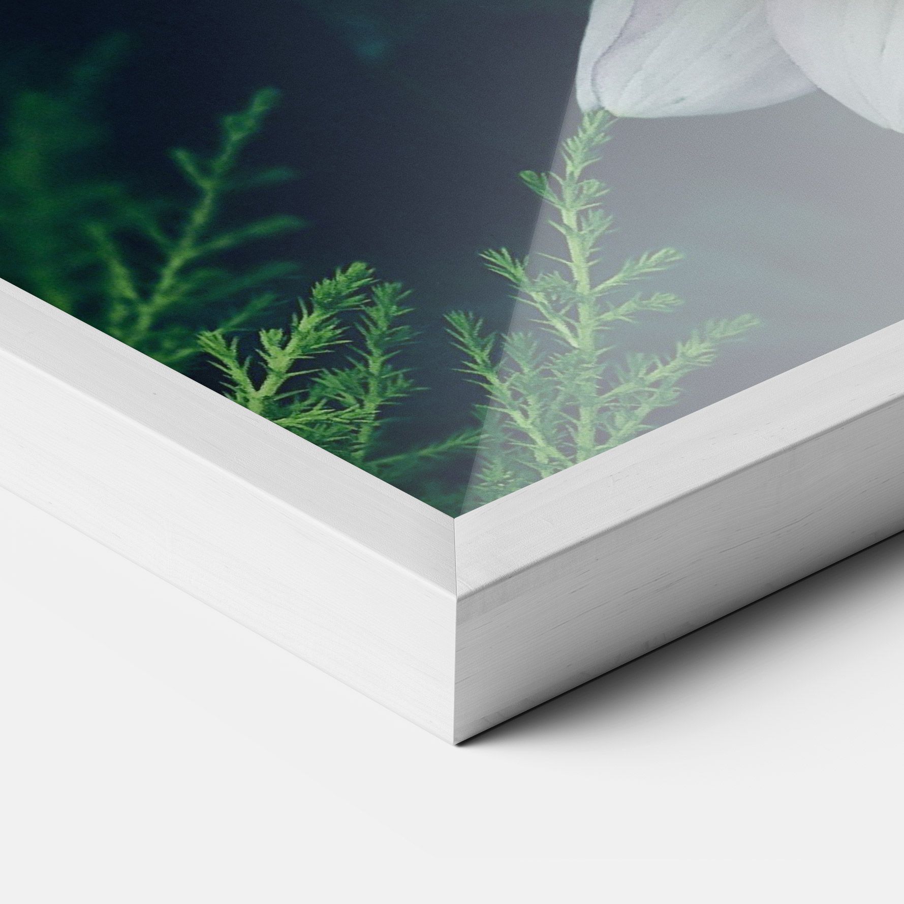 Dahlia Flowers mockup 3