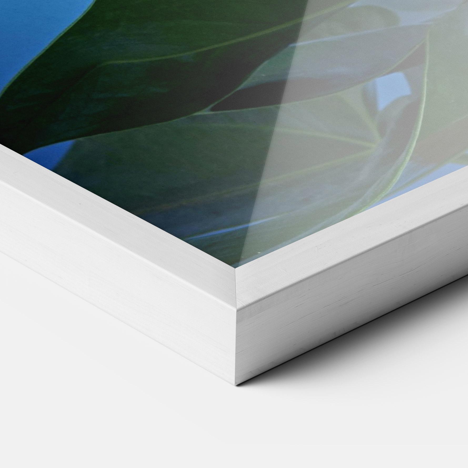 Poster Înrămat Red Green Exotic mockup 3