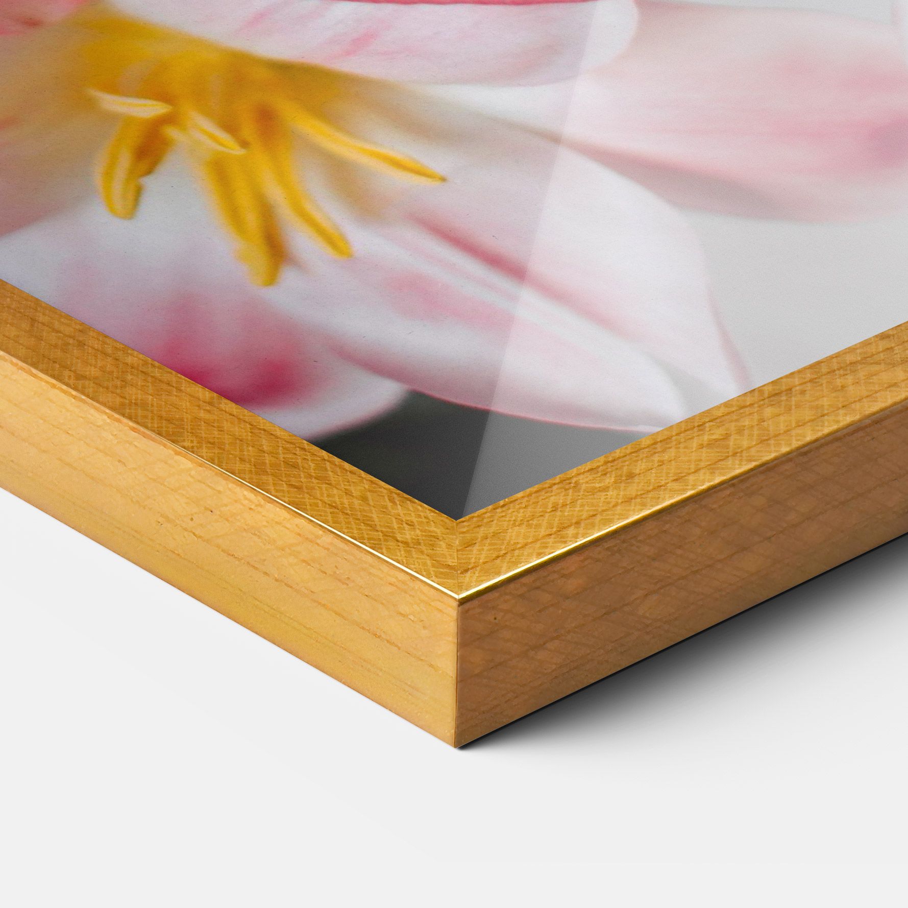 Beautiful Exotic Flower mockup 3