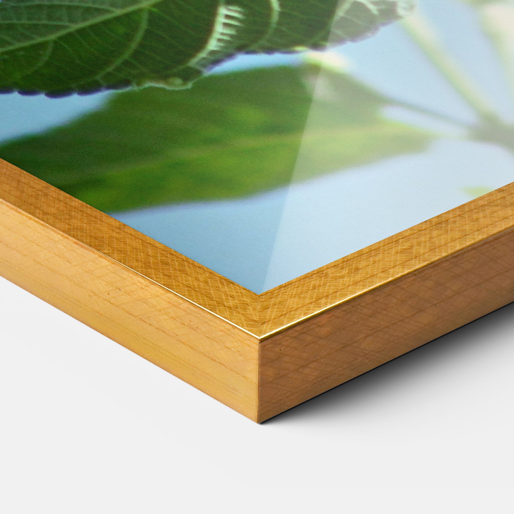 Bird Exotic Flower mockup 3