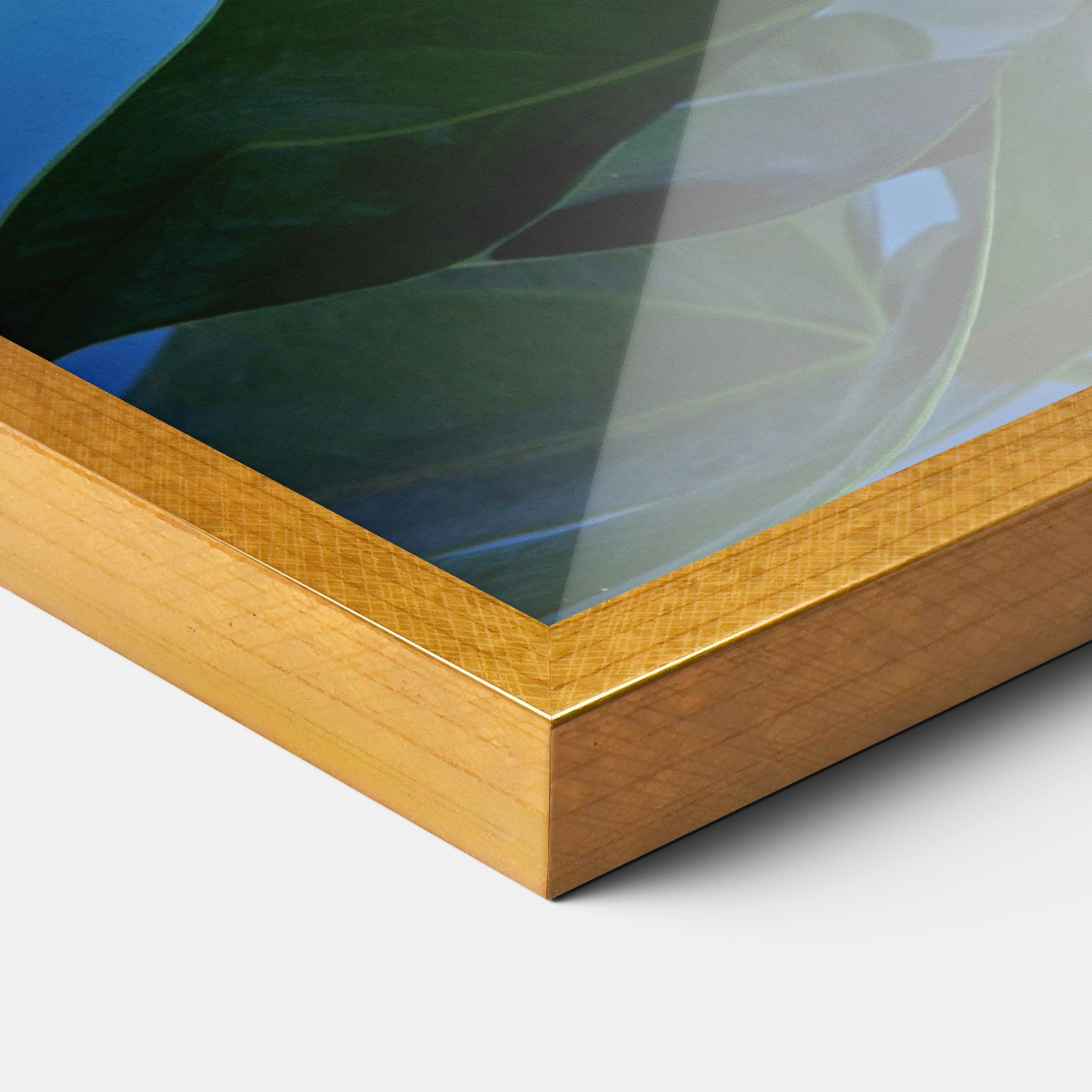 Red Green Exotic mockup 3