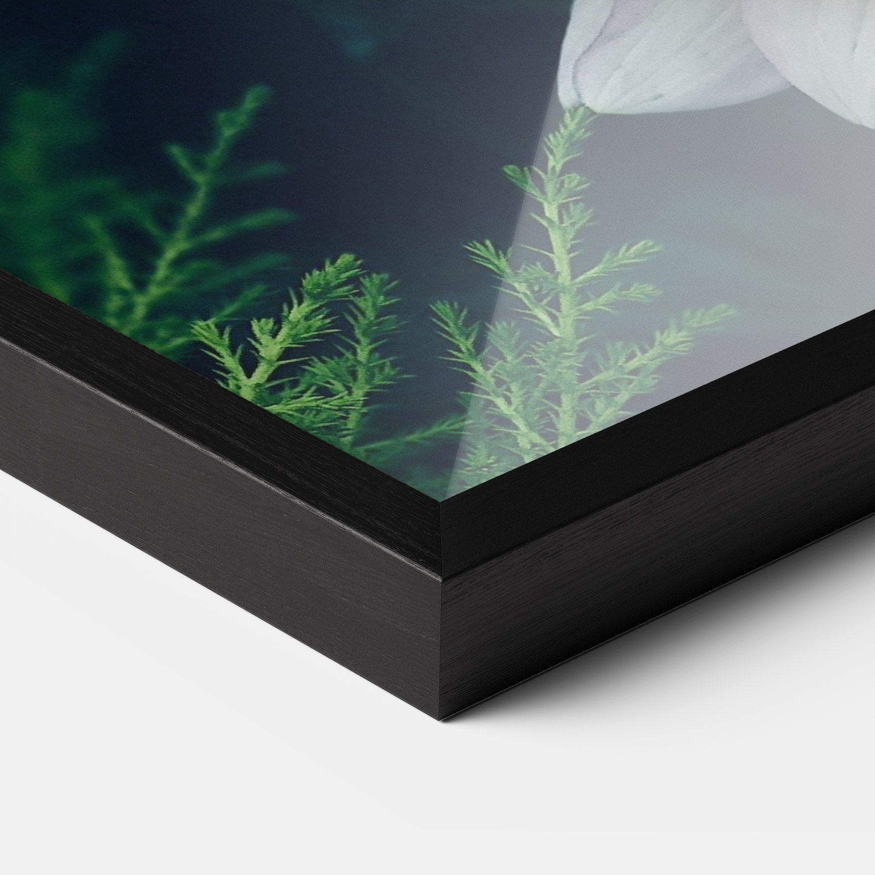 Dahlia Flowers mockup 3