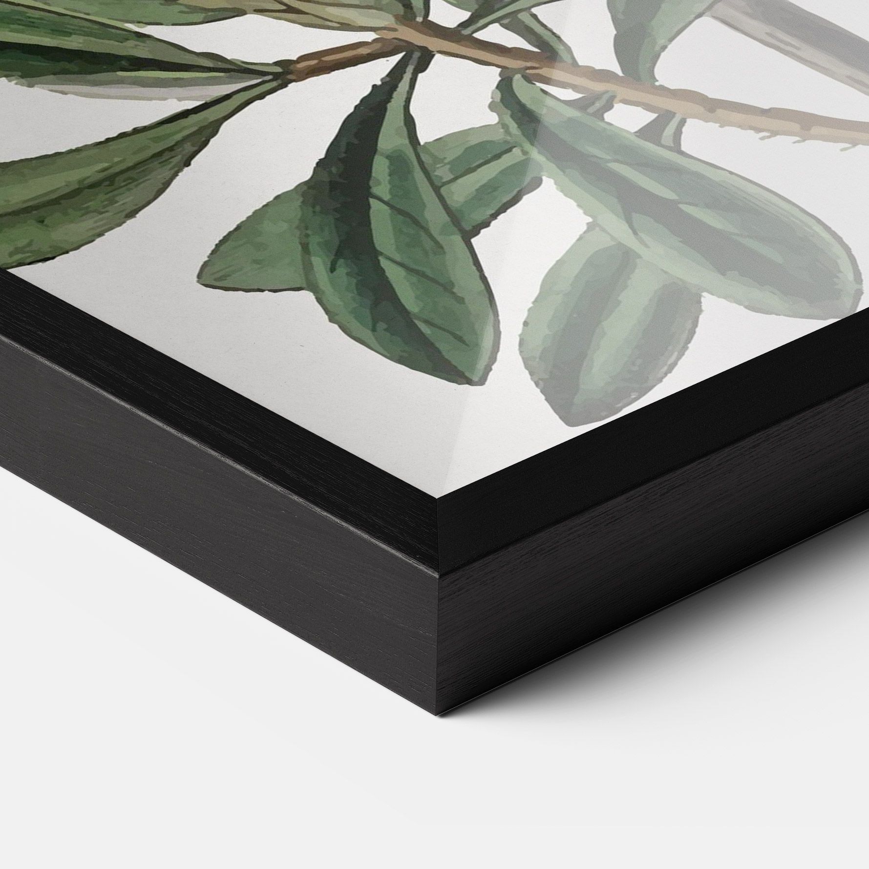 Exotic White Red mockup 3