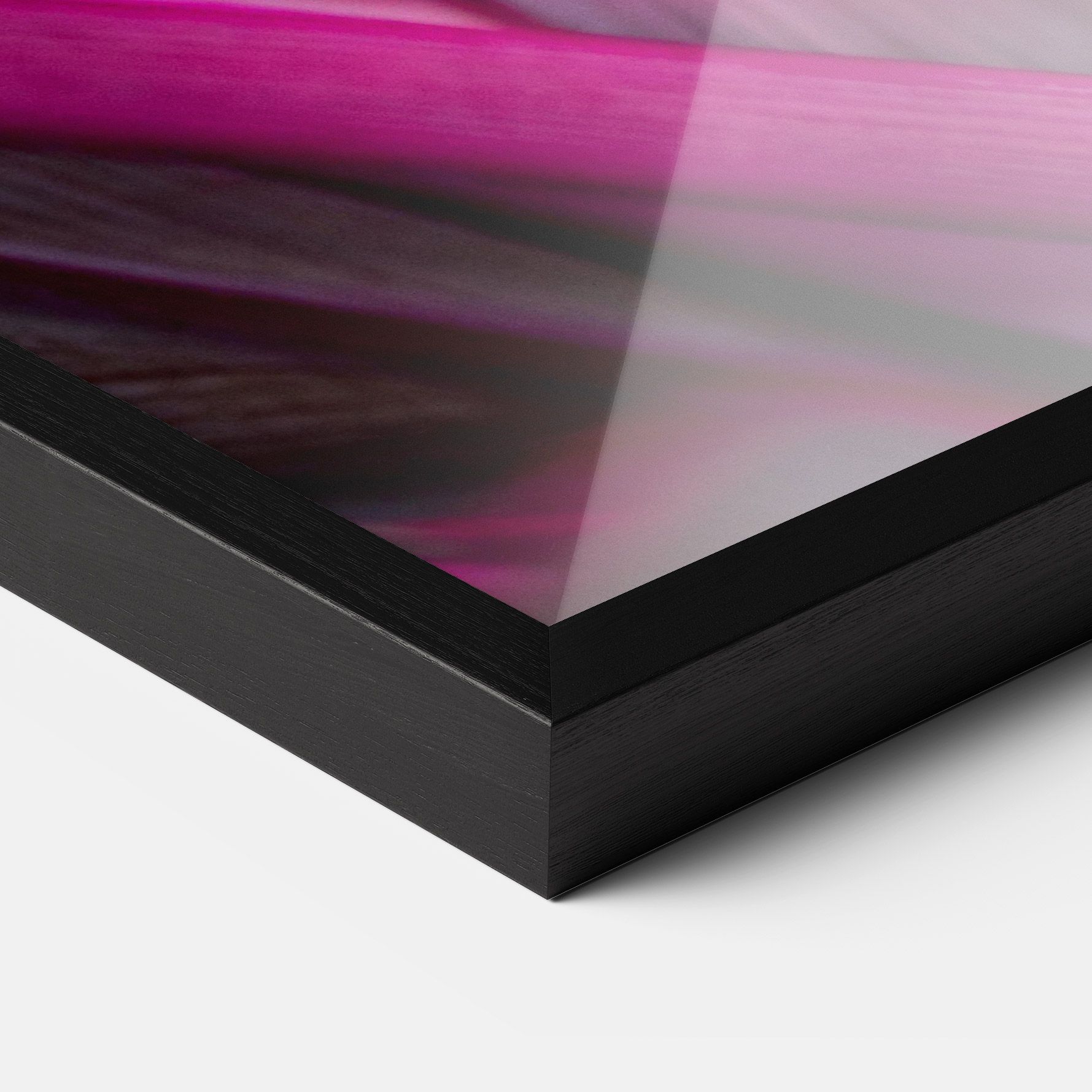 Purple Exotic Plant mockup 3