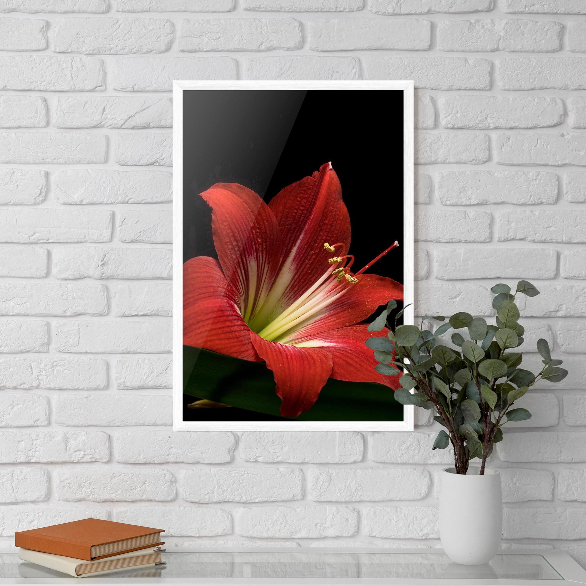 Poster Înrămat Red Yellow Exotic mockup 5