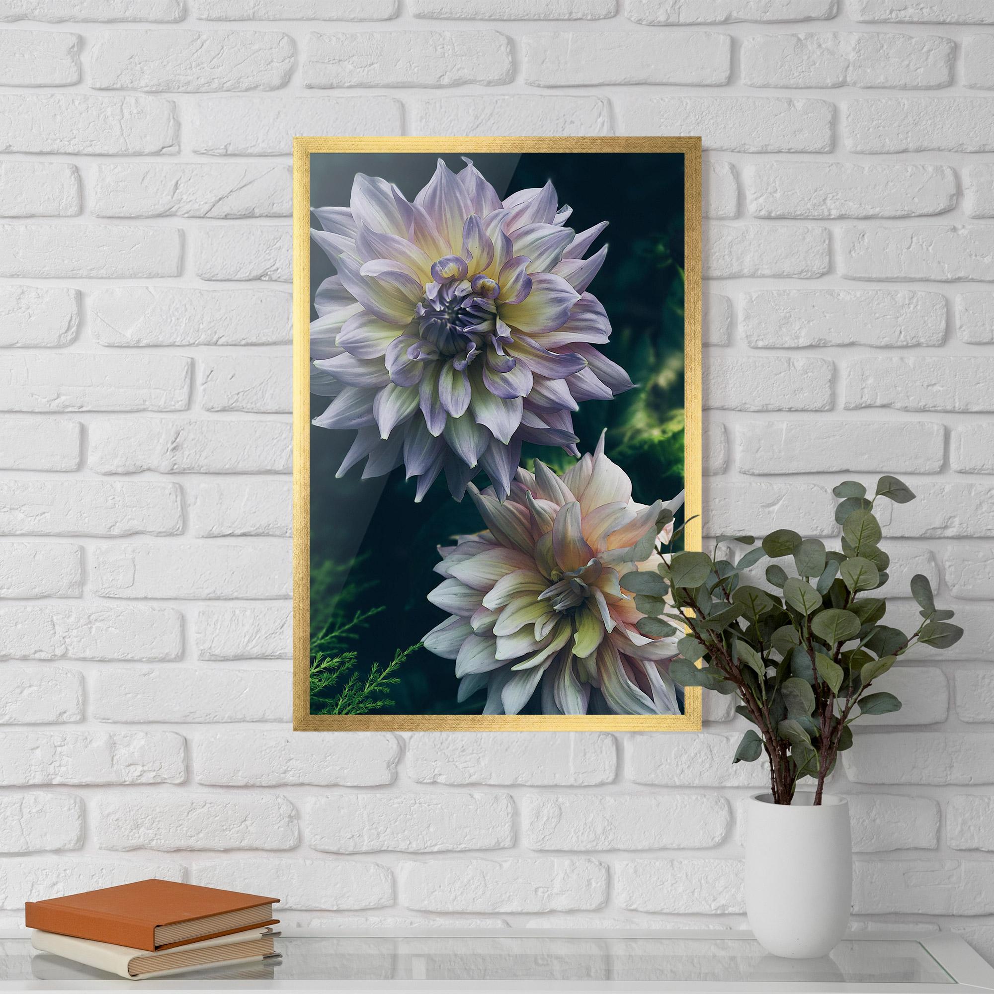 Poster Înrămat Dahlia Flowers mockup 5