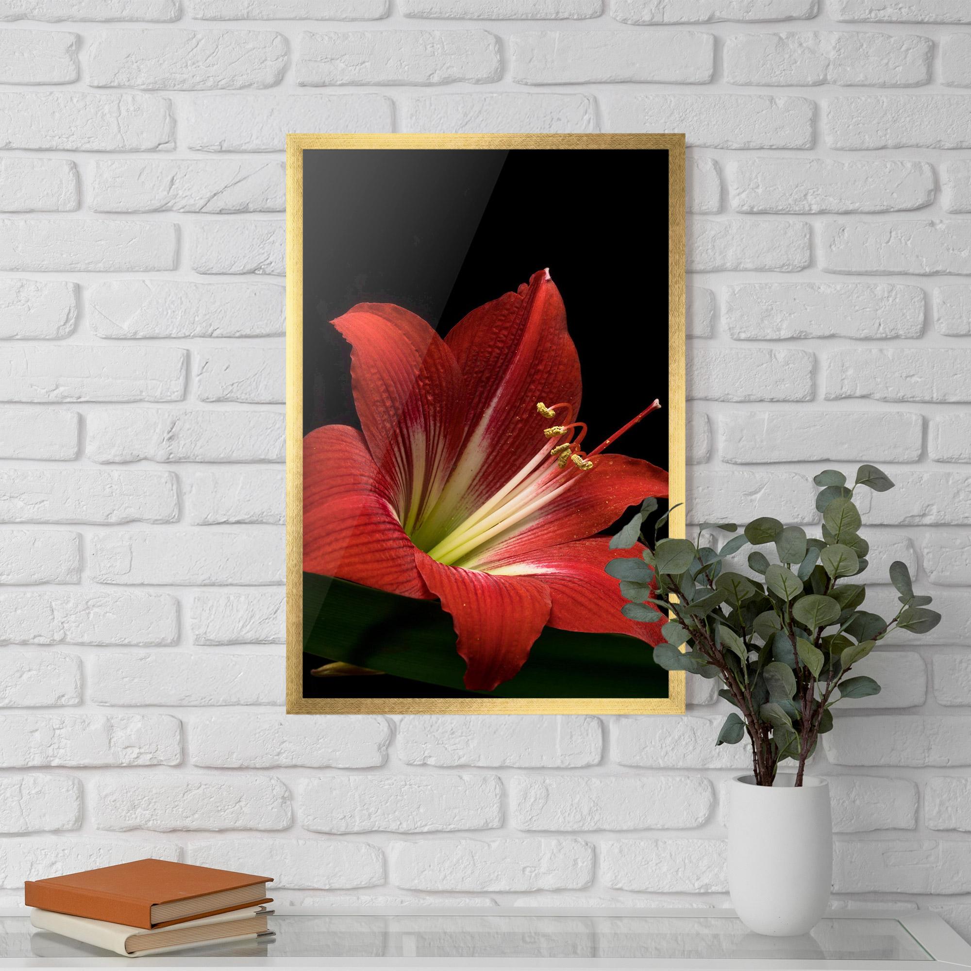 Poster Înrămat Red Yellow Exotic mockup 5