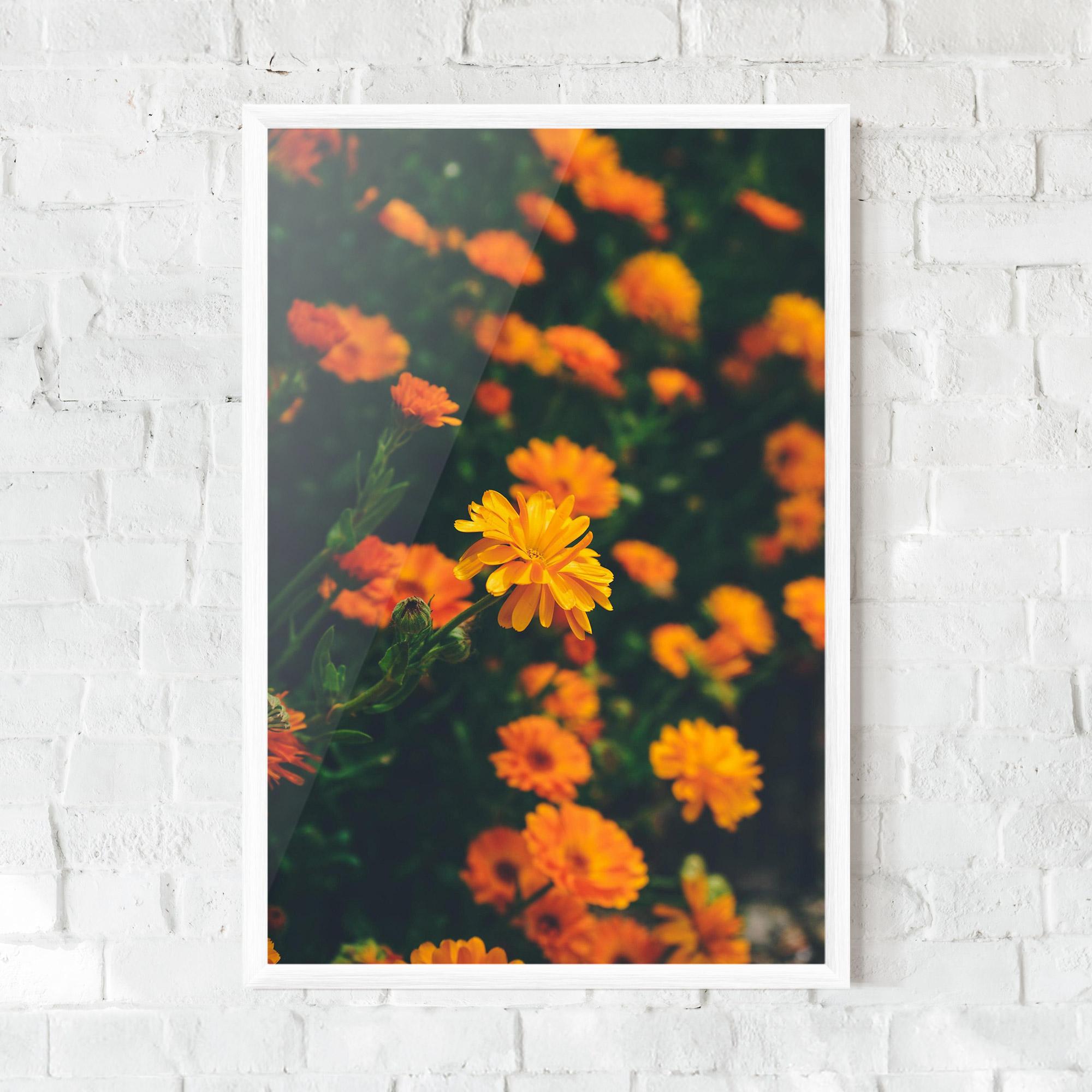 Poster Înrămat Garden Orange Flowers mockup 0