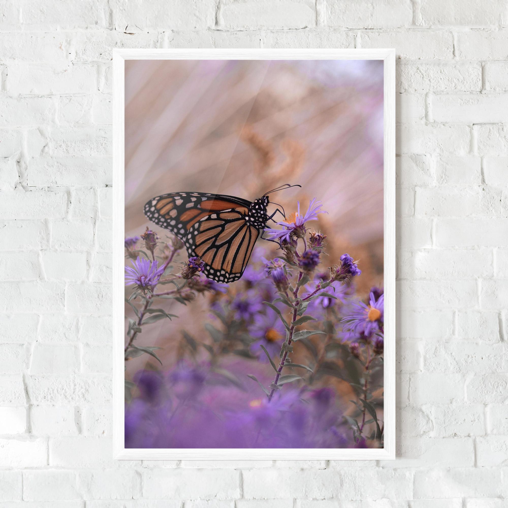 Poster Înrămat Wild Plant Butterfly mockup 0