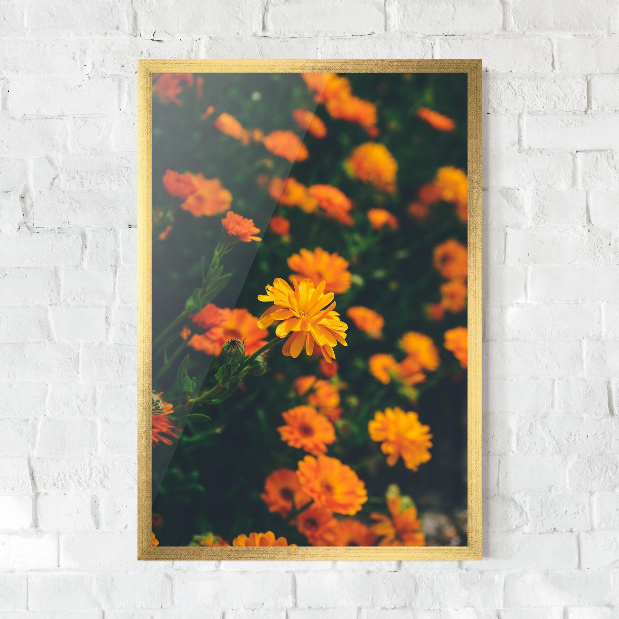 Garden Orange Flowers mockup 0