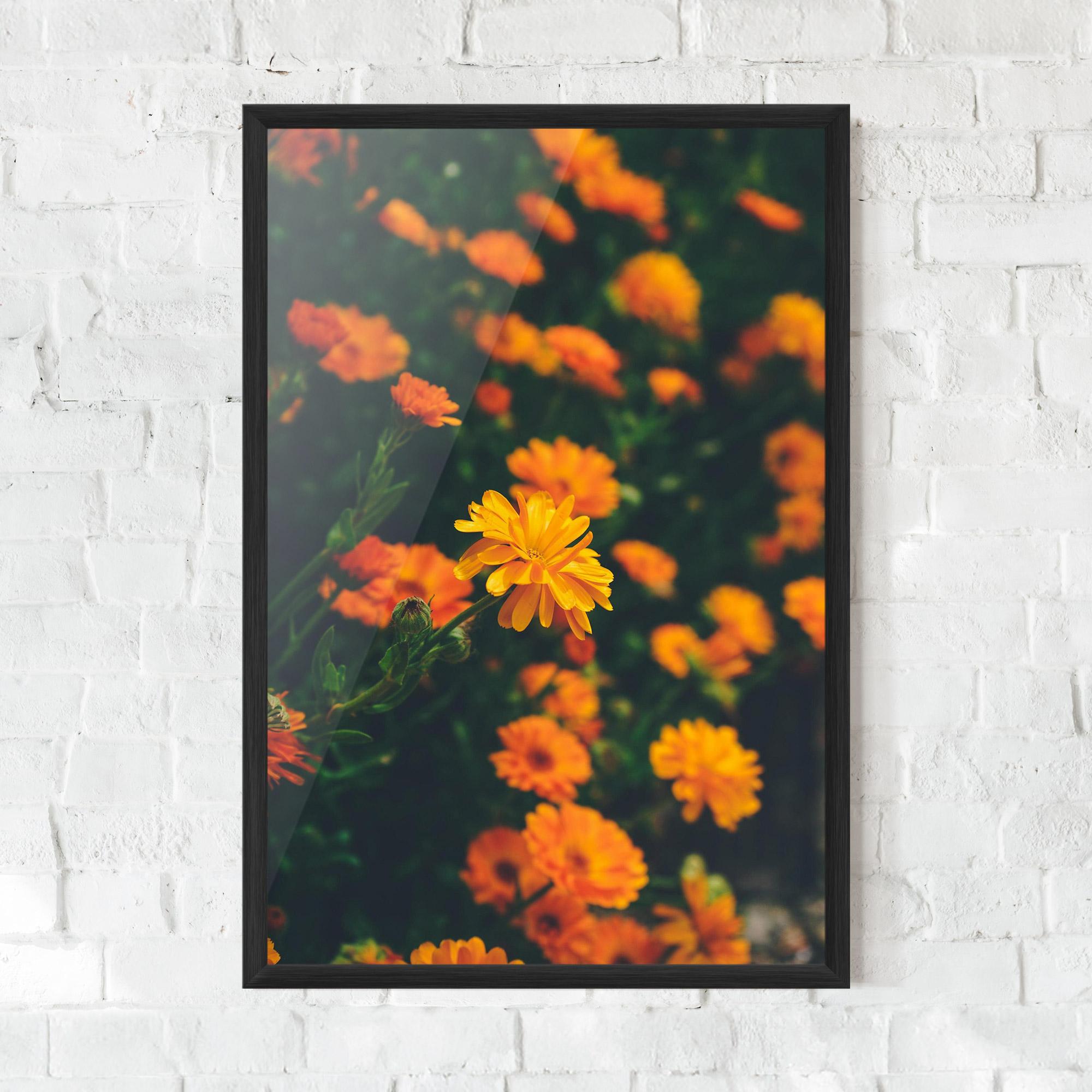 Poster Înrămat Garden Orange Flowers mockup 0