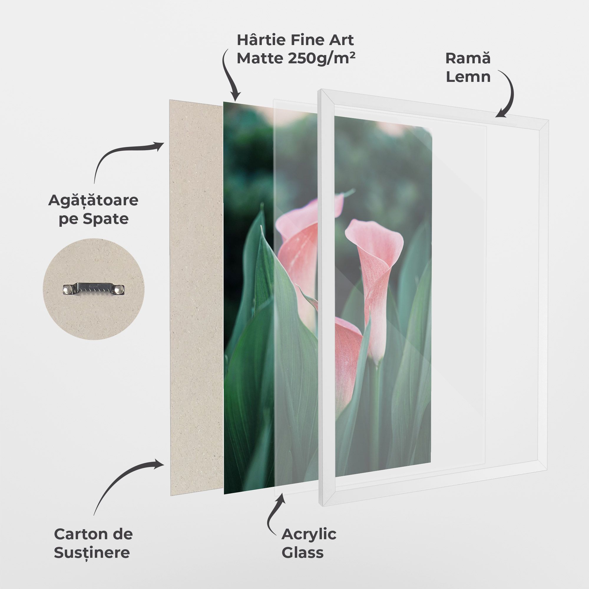 Early Spring mockup 1