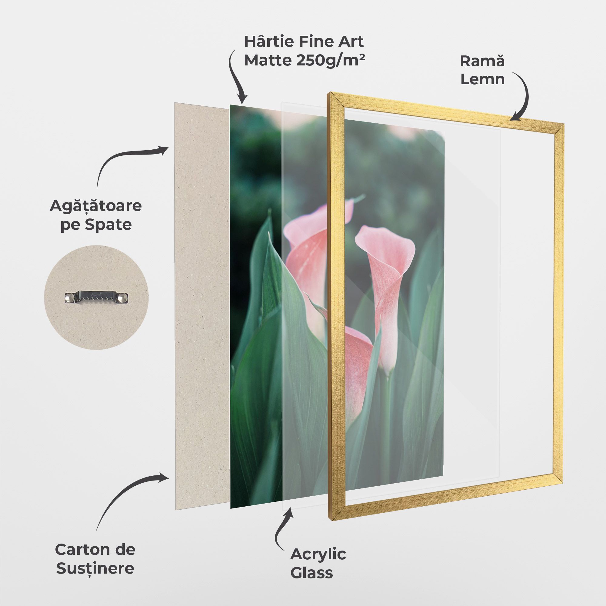 Early Spring mockup 1