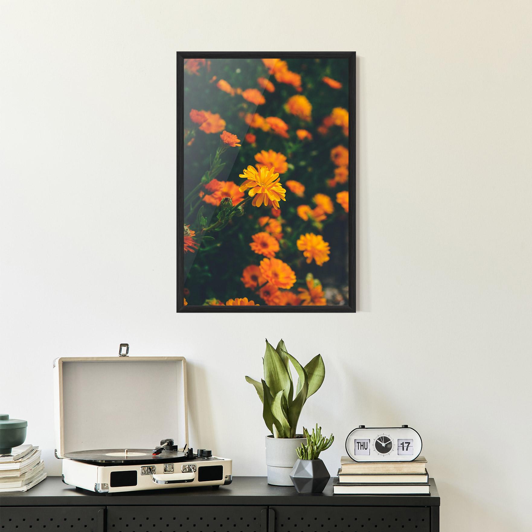 Poster Înrămat Garden Orange Flowers mockup 2