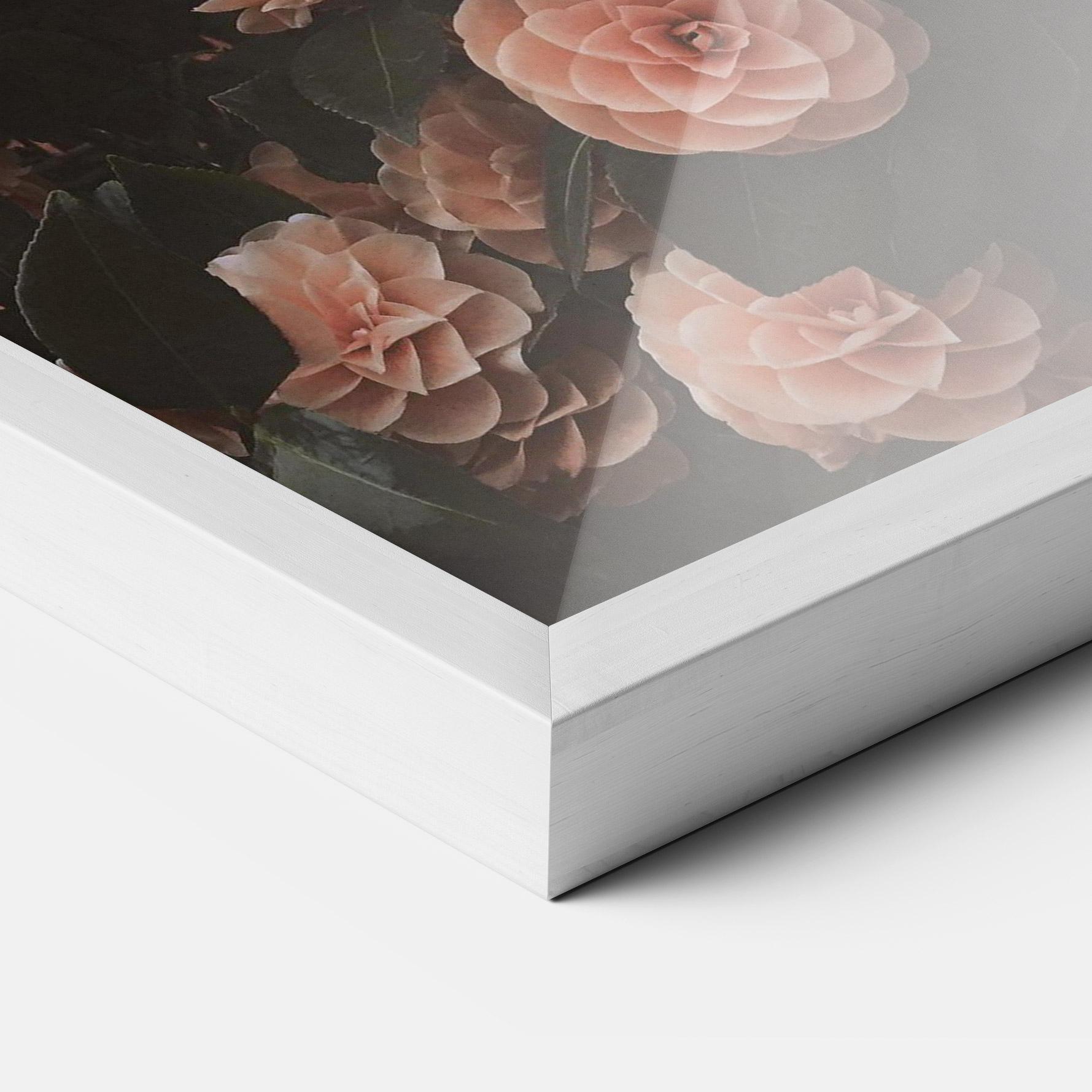 Poster Înrămat Rose Wild Wall mockup 3