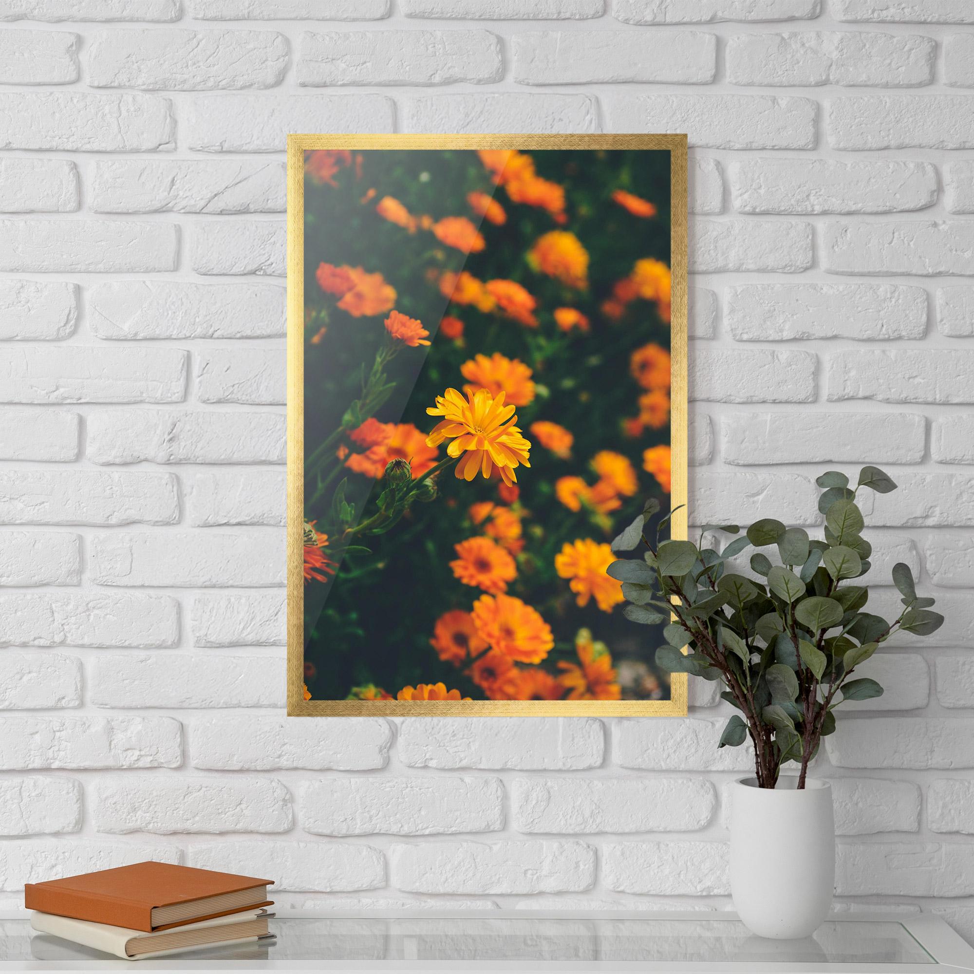 Poster Înrămat Garden Orange Flowers mockup 5