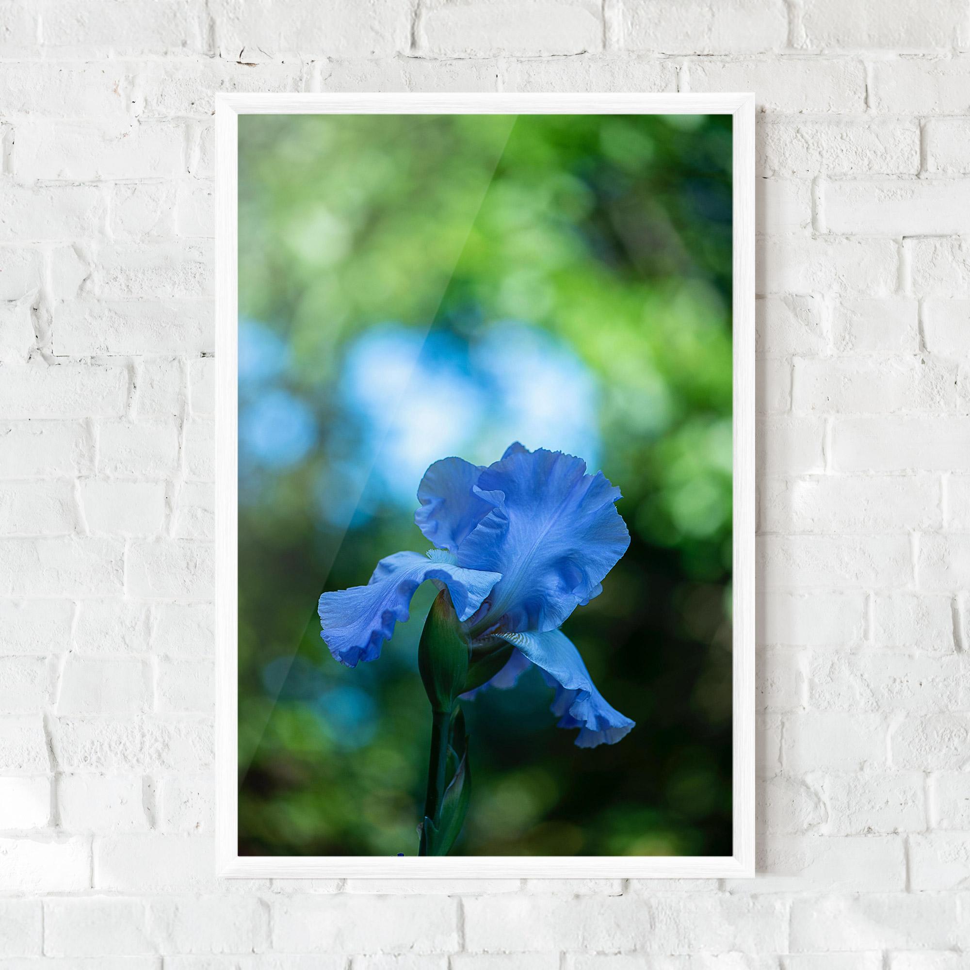 Poster Înrămat Blue Iris In The Garden mockup 0