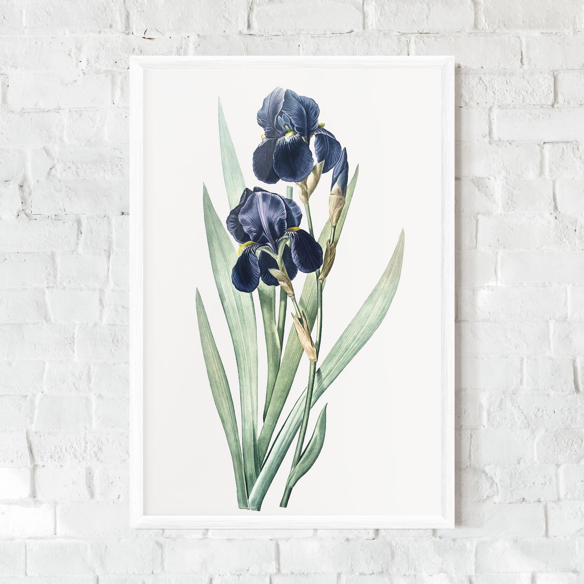 Poster Înrămat Dark Blue Iris mockup 0