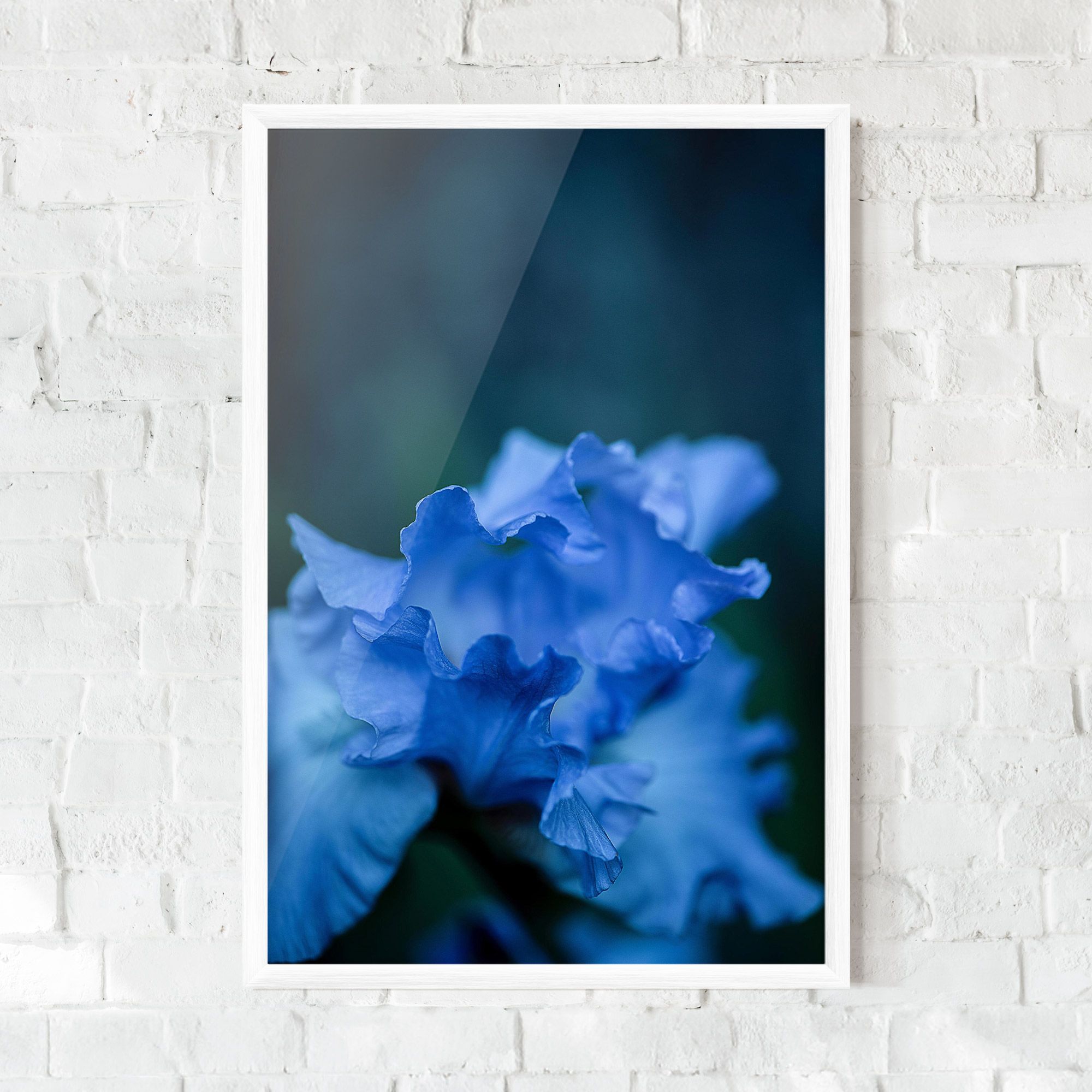 Ocean Blue Iris mockup 0