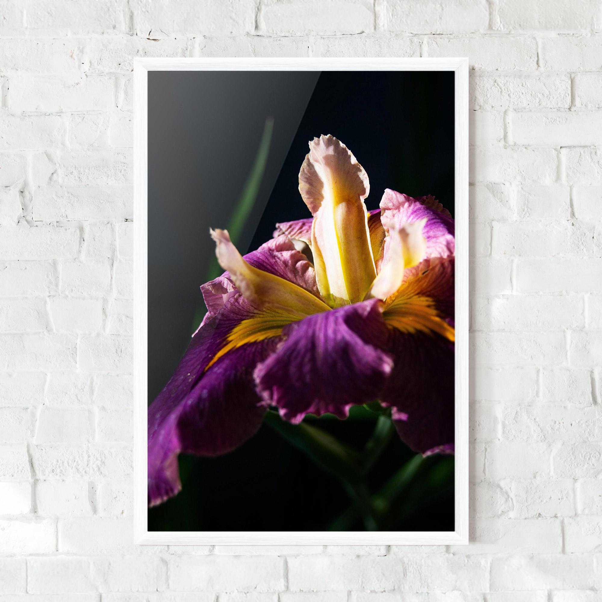 Poster Înrămat Pastel Yellow Iris mockup 0